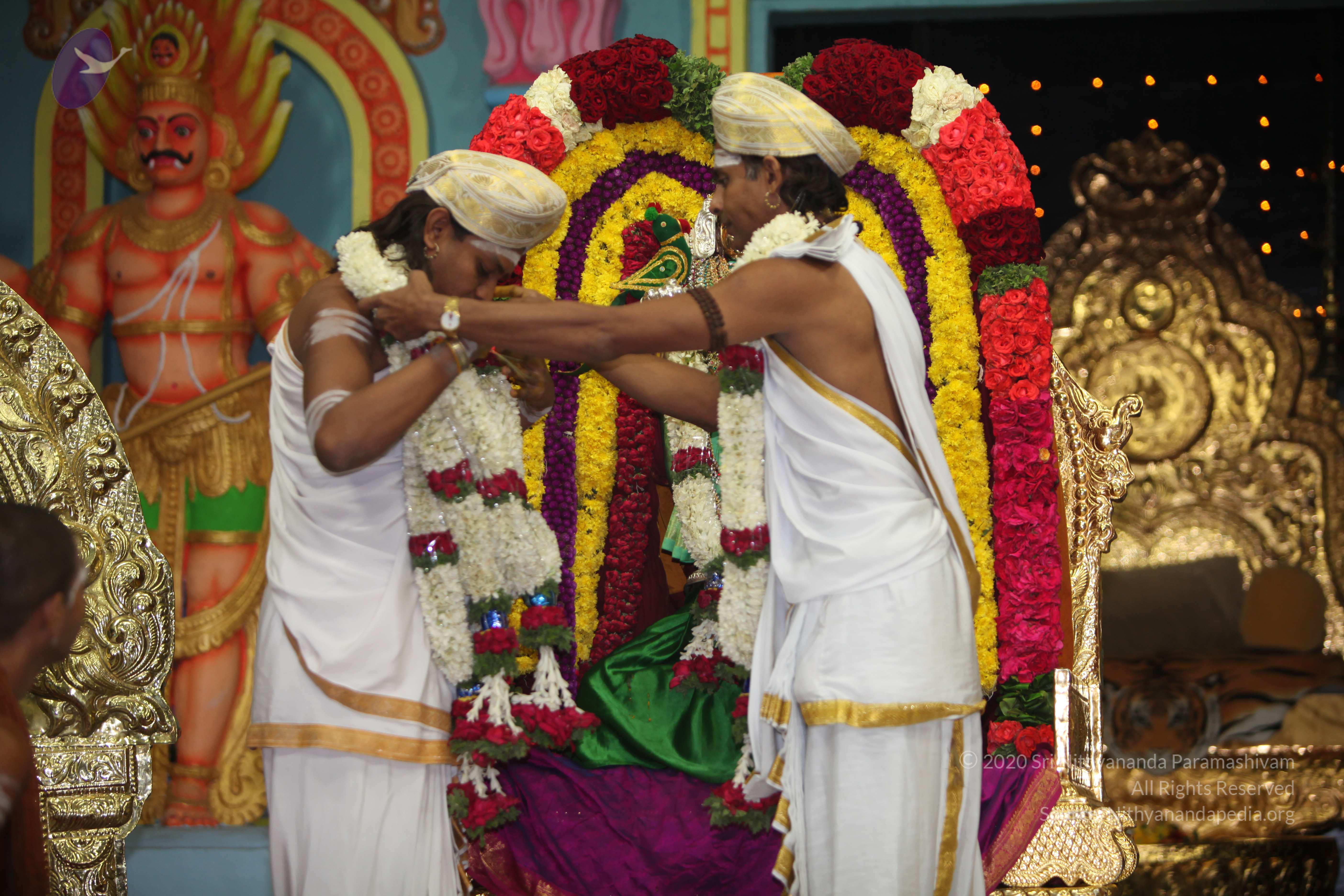 20130423_Photo_1173_IMG_8990_CMP_WM