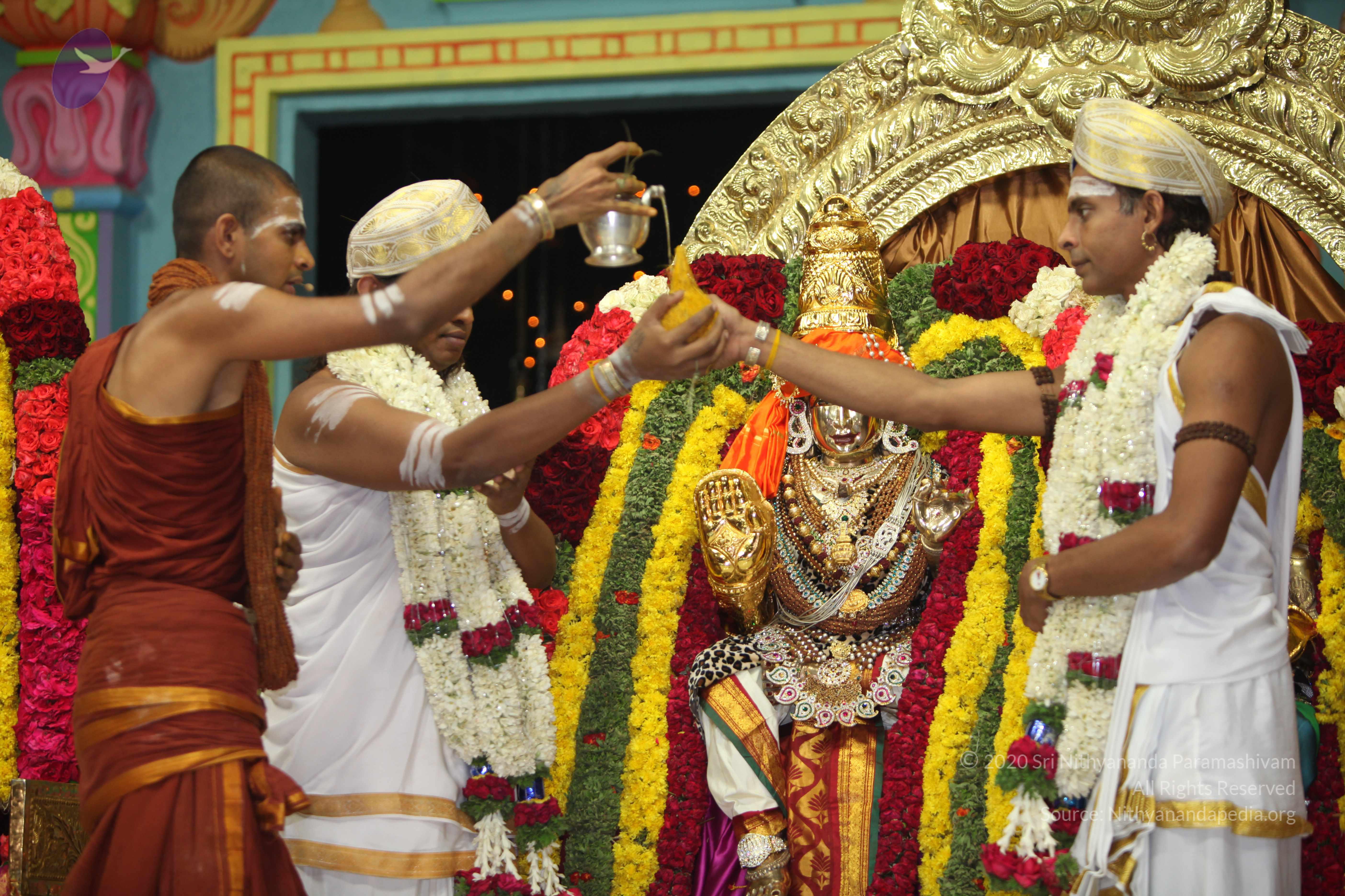 20130423_Photo_1178_IMG_8958_CMP_WM