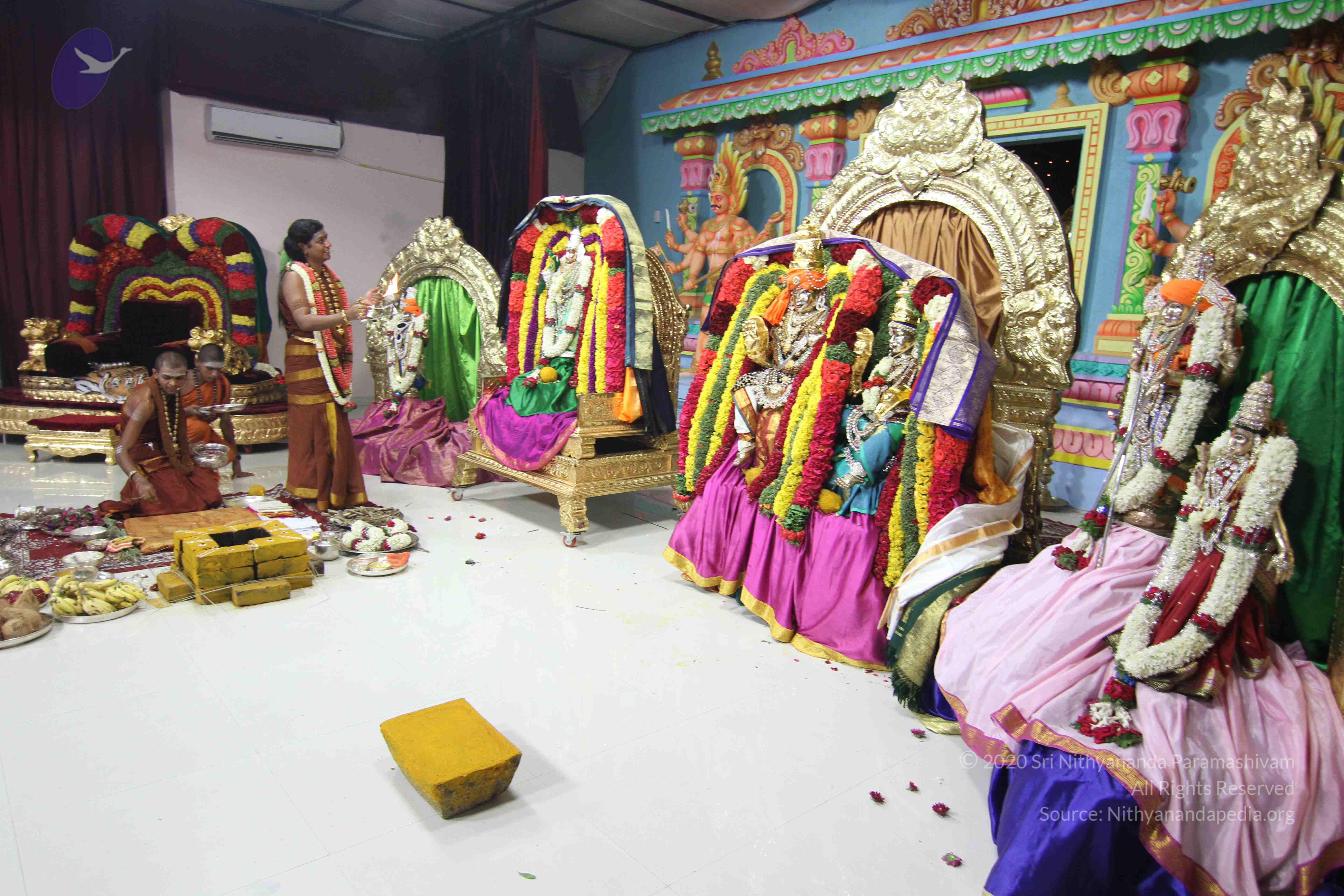 20130423_Photo_1197_IMG_8889_CMP_WM