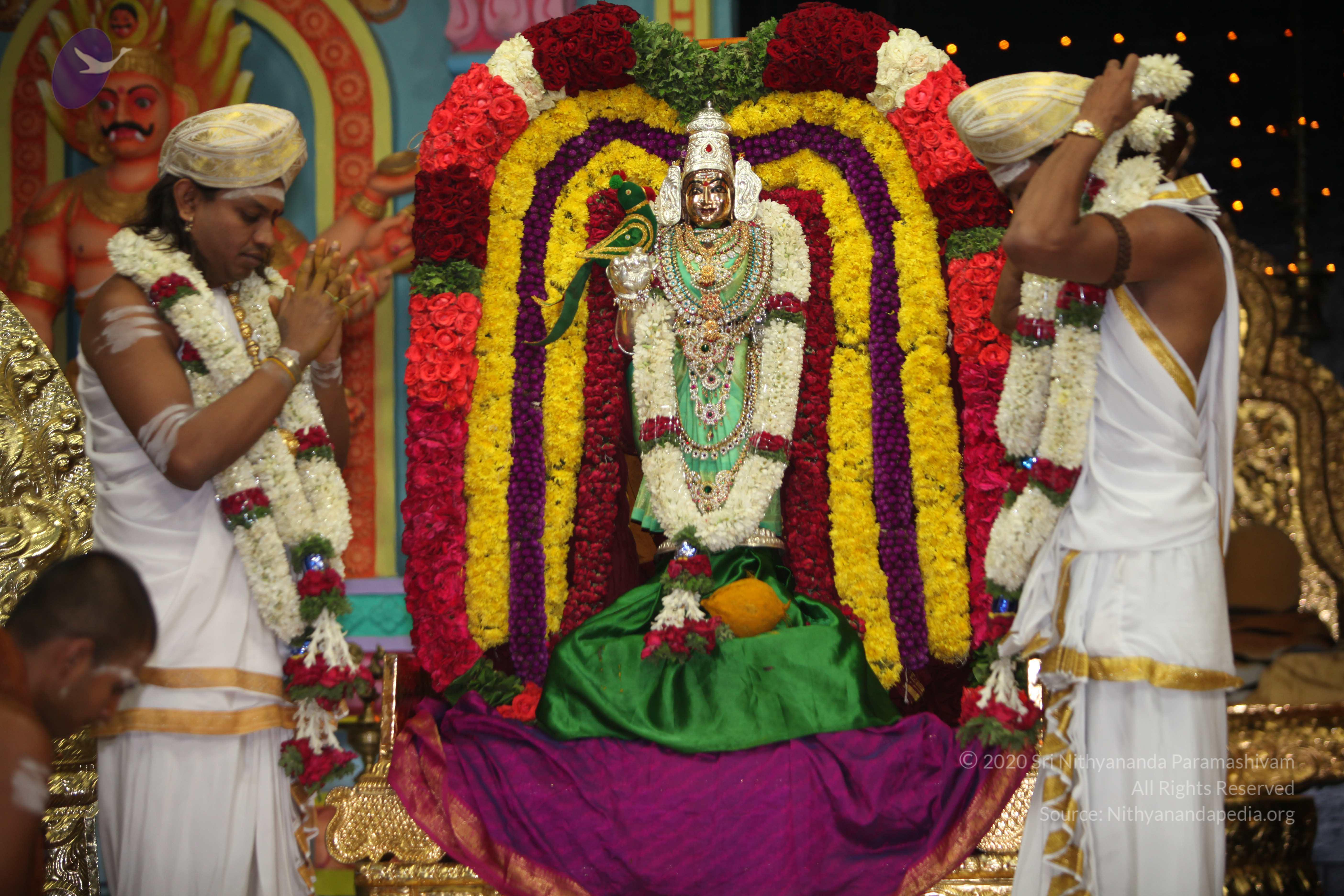 20130423_Photo_1208_IMG_8981_CMP_WM