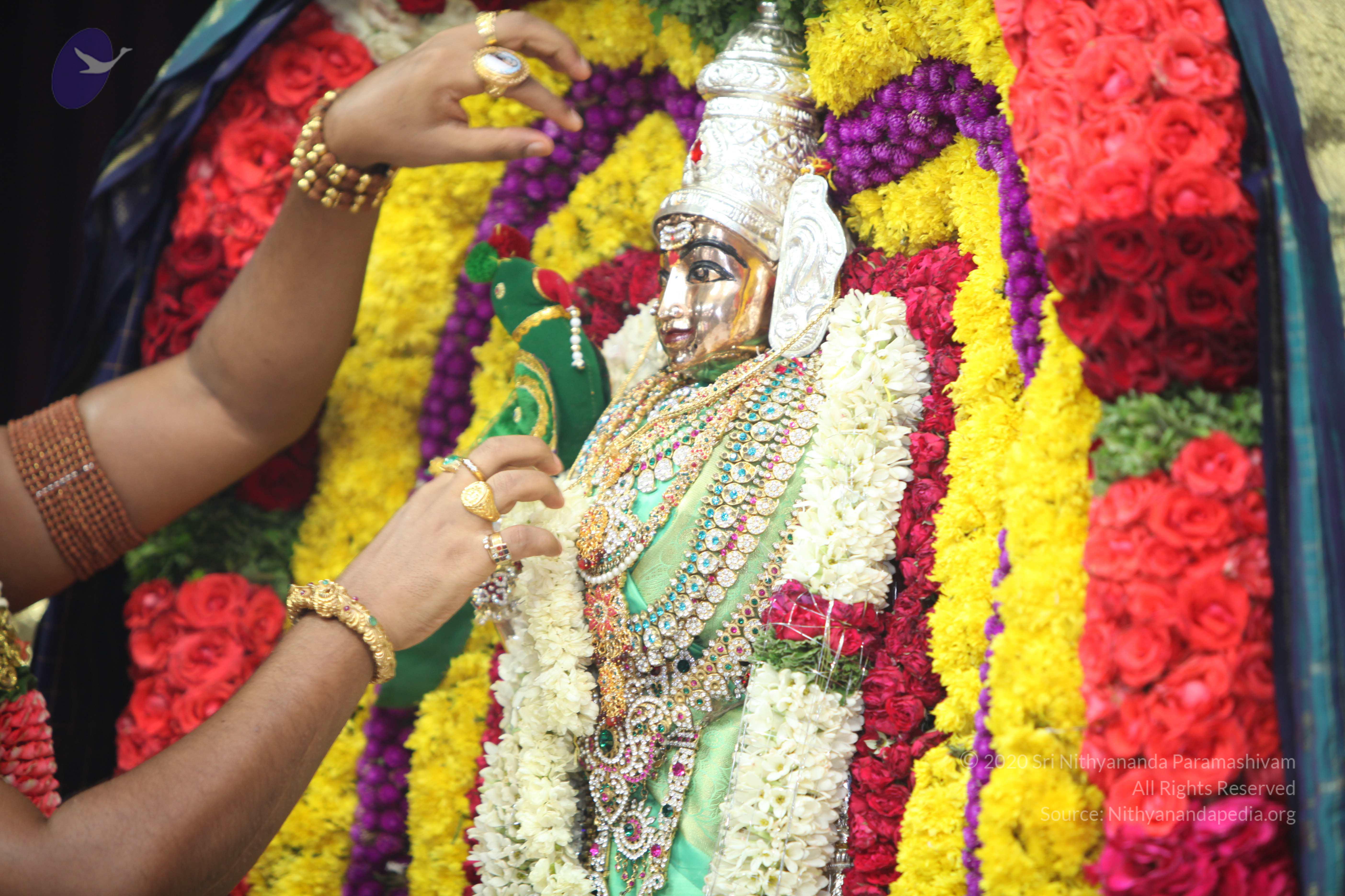 20130423_Photo_1246_IMG_9052_CMP_WM