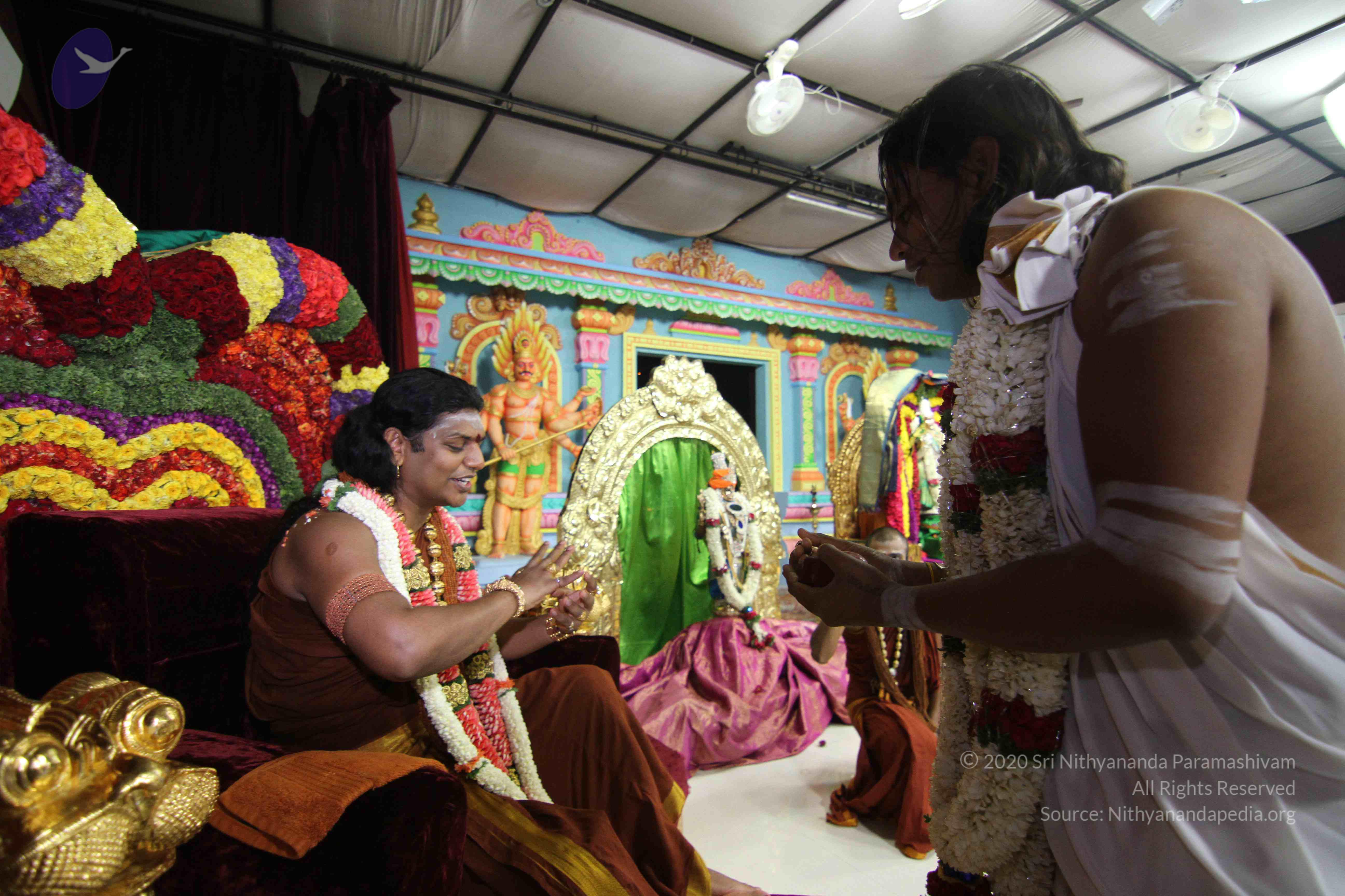 20130423_Photo_1253_IMG_8941_CMP_WM