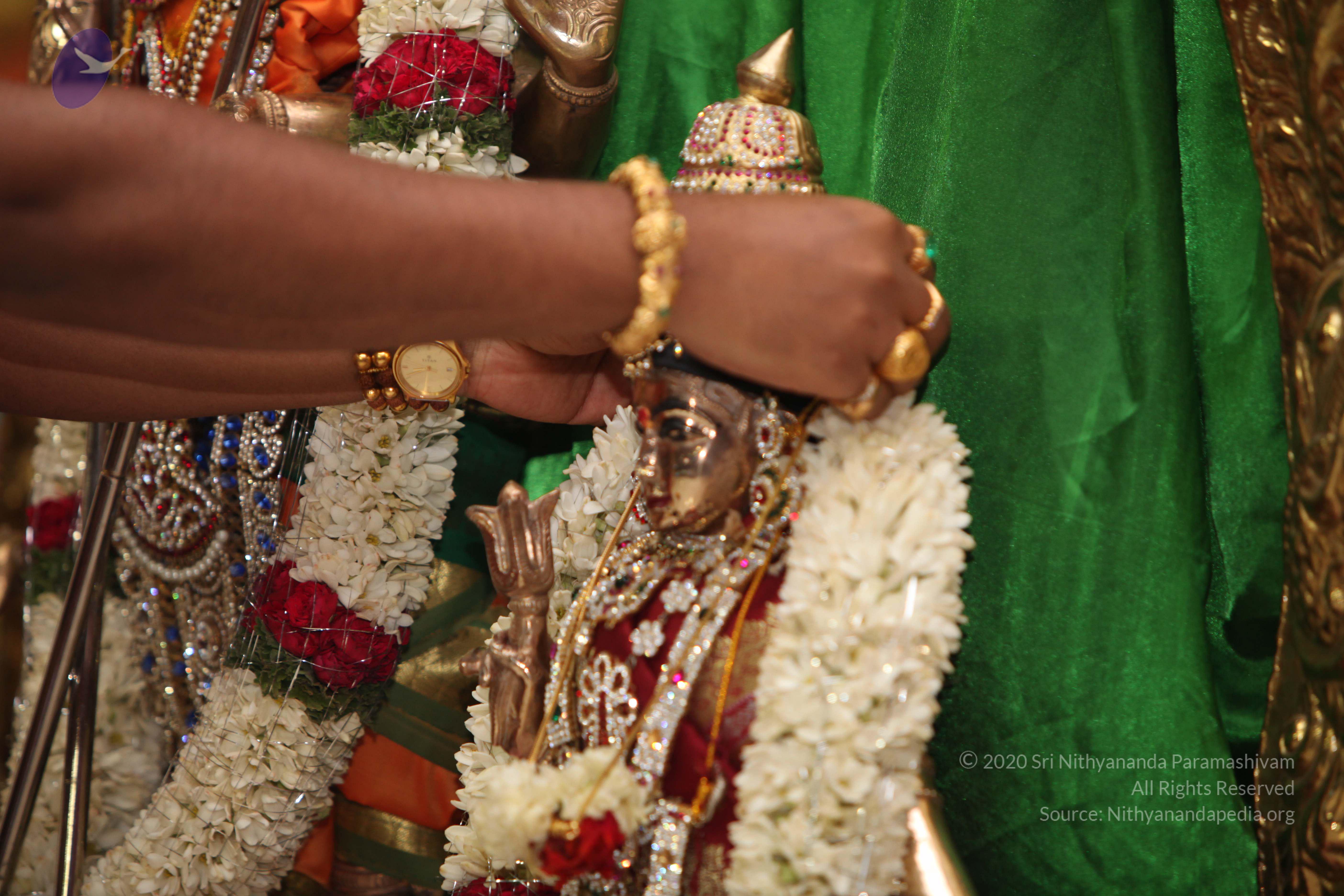 20130423_Photo_1259_IMG_9079_CMP_WM