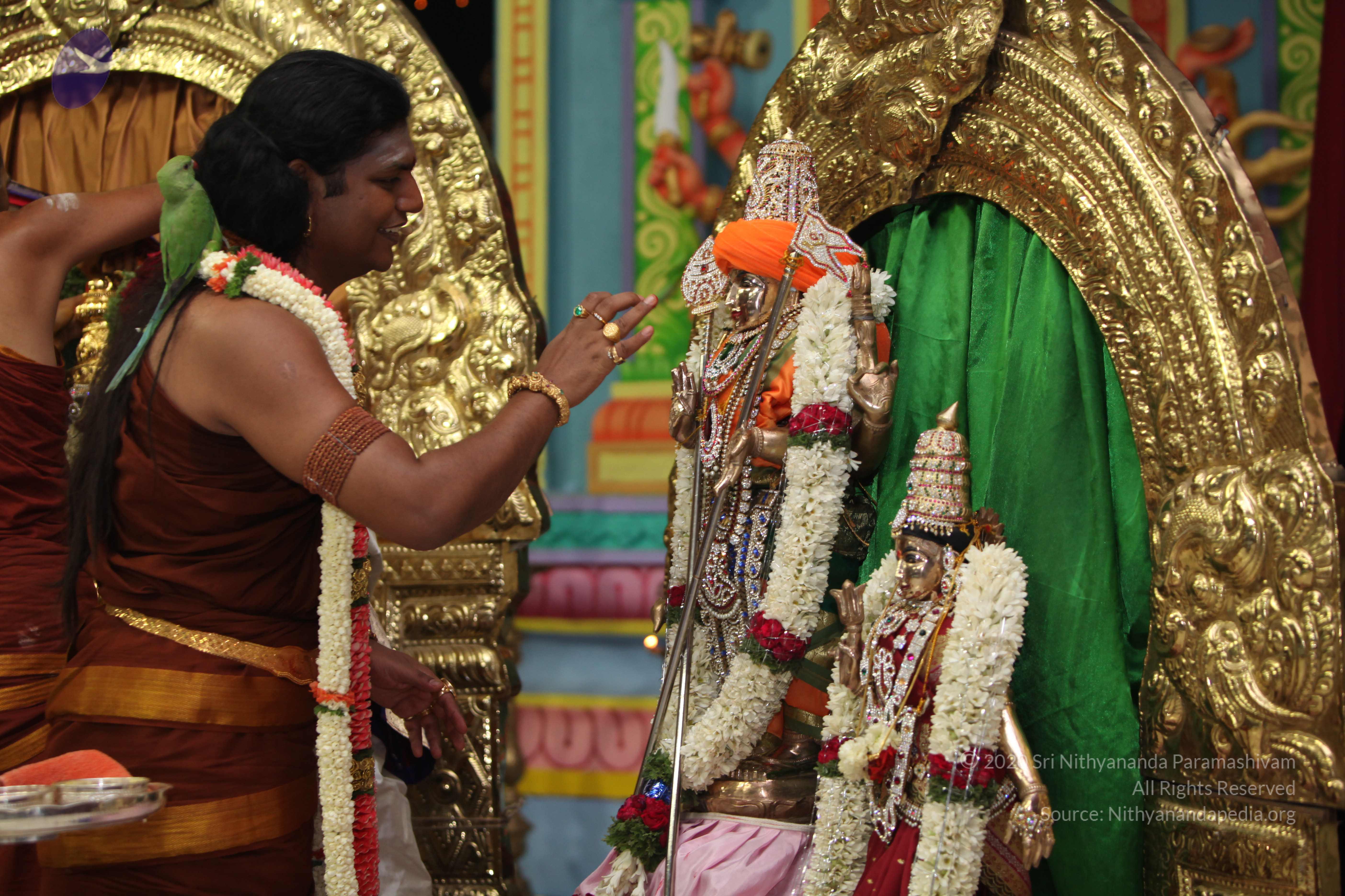 20130423_Photo_1266_IMG_9081_CMP_WM