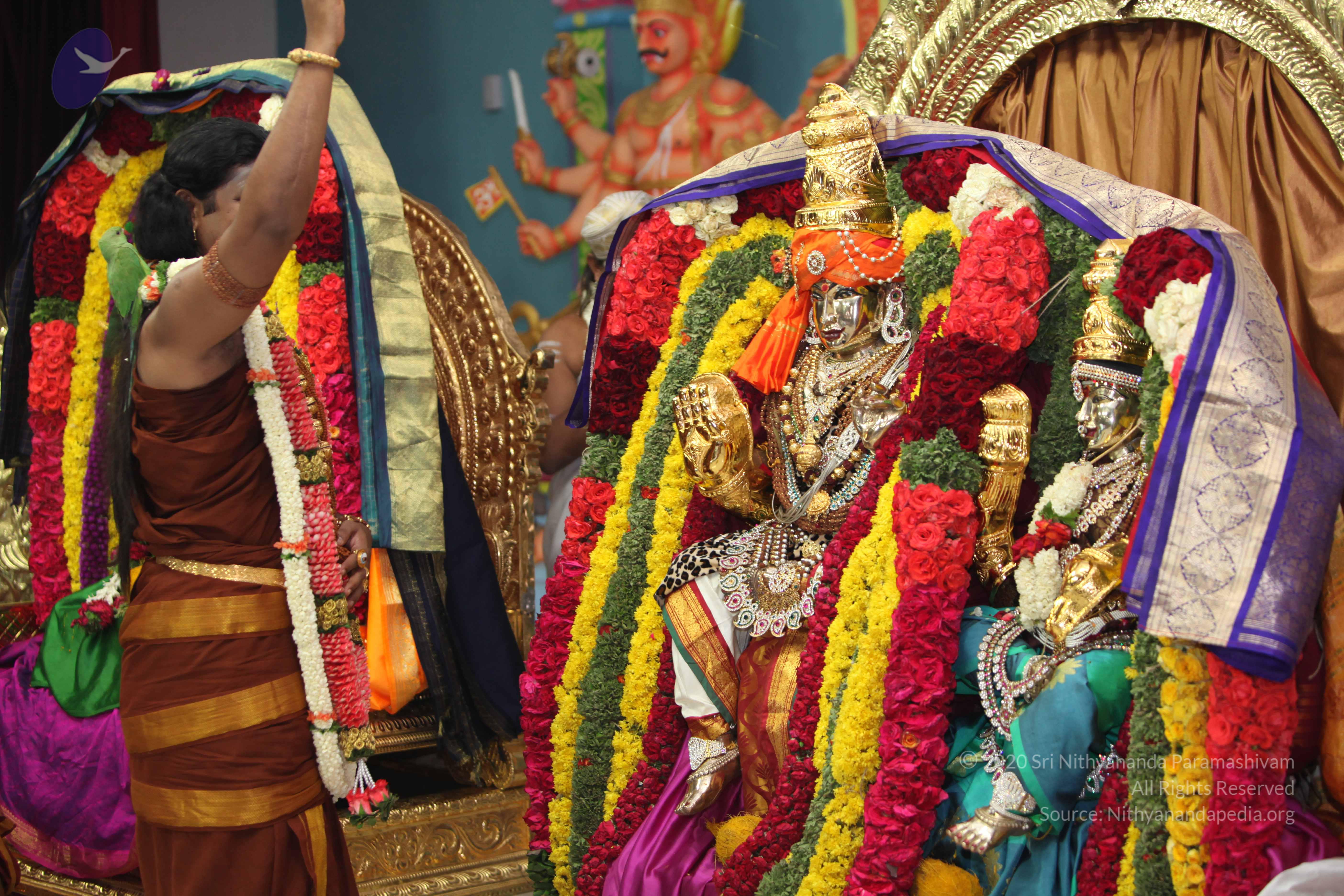 20130423_Photo_1302_IMG_9090_CMP_WM