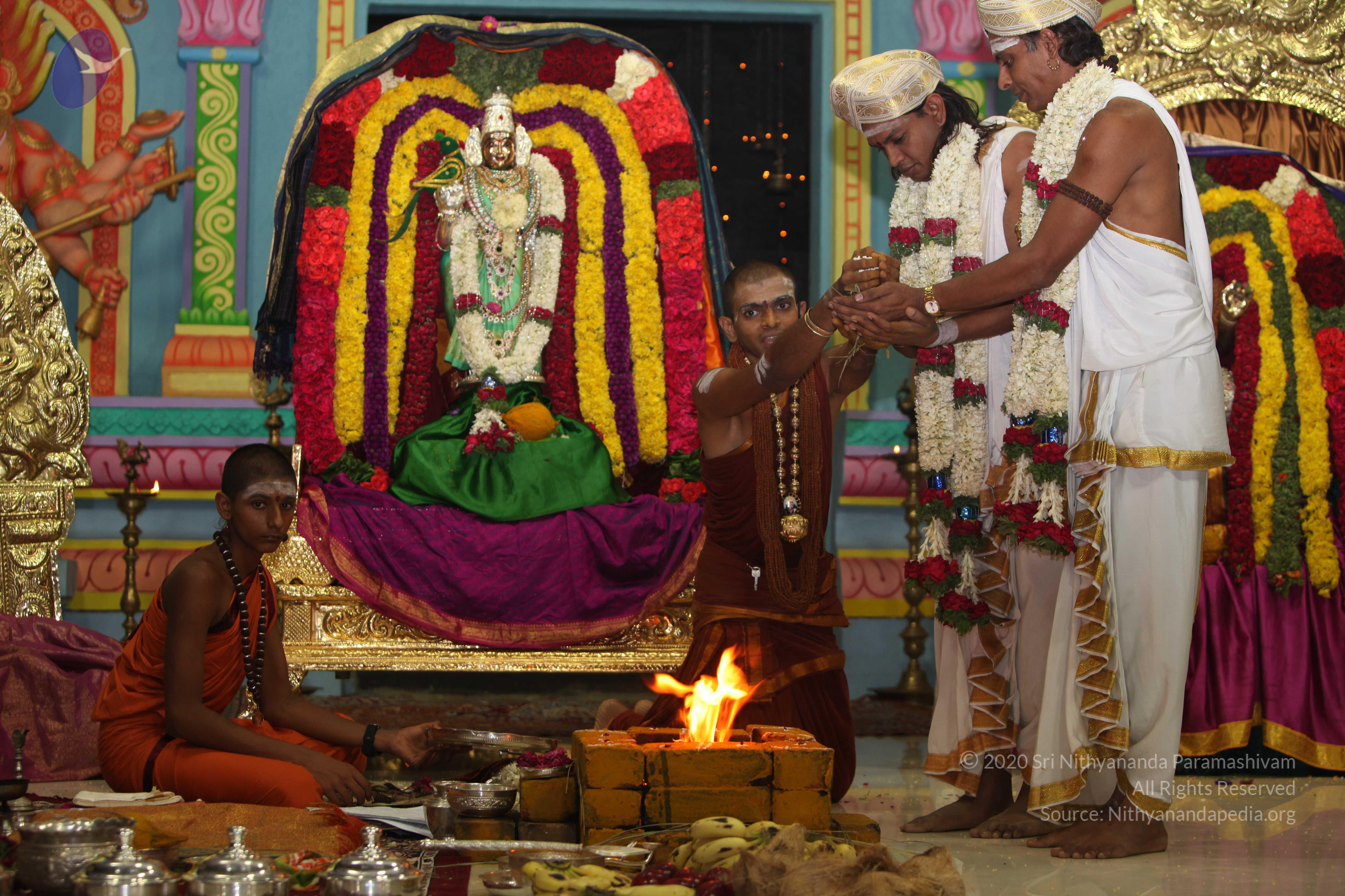 20130423_Photo_1316_IMG_9137_CMP_WM