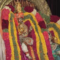 20130423_Photo_1005_IMG_8767_CMP_WM