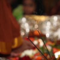 20130423_Photo_1039_IMG_8842_CMP_WM