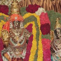 20130423_Photo_1063_IMG_8785_CMP_WM