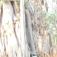 20130423_Photo_1001_IMG_8767_CMP_WM