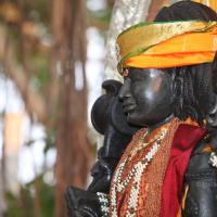 20130423_Photo_1026_IMG_8733_CMP_WM