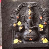 20130423_Photo_1036_IMG_8720_CMP_WM