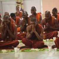 20130423_Photo_1010_IMG_9311_CMP_WM