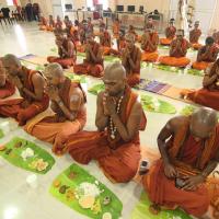 20130423_Photo_1041_IMG_8982_CMP_WM