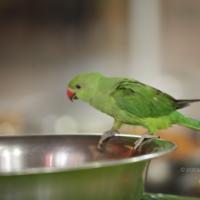 20130423_Photo_1083_IMG_9296_CMP_WM