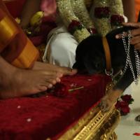 20130423_Photo_1010_IMG_9276_CMP_WM