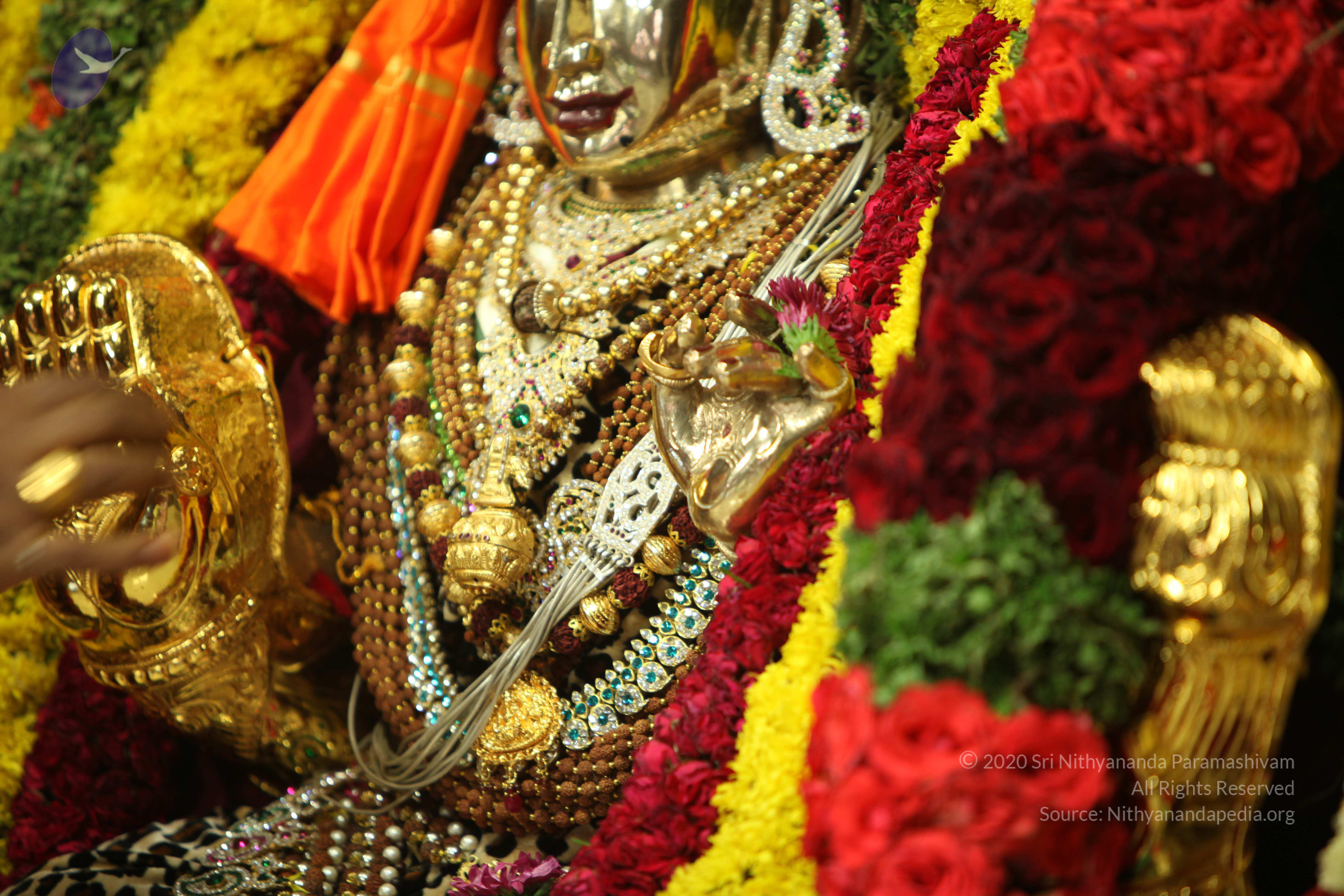 20130423_Photo_1014_IMG_9208_CMP_WM