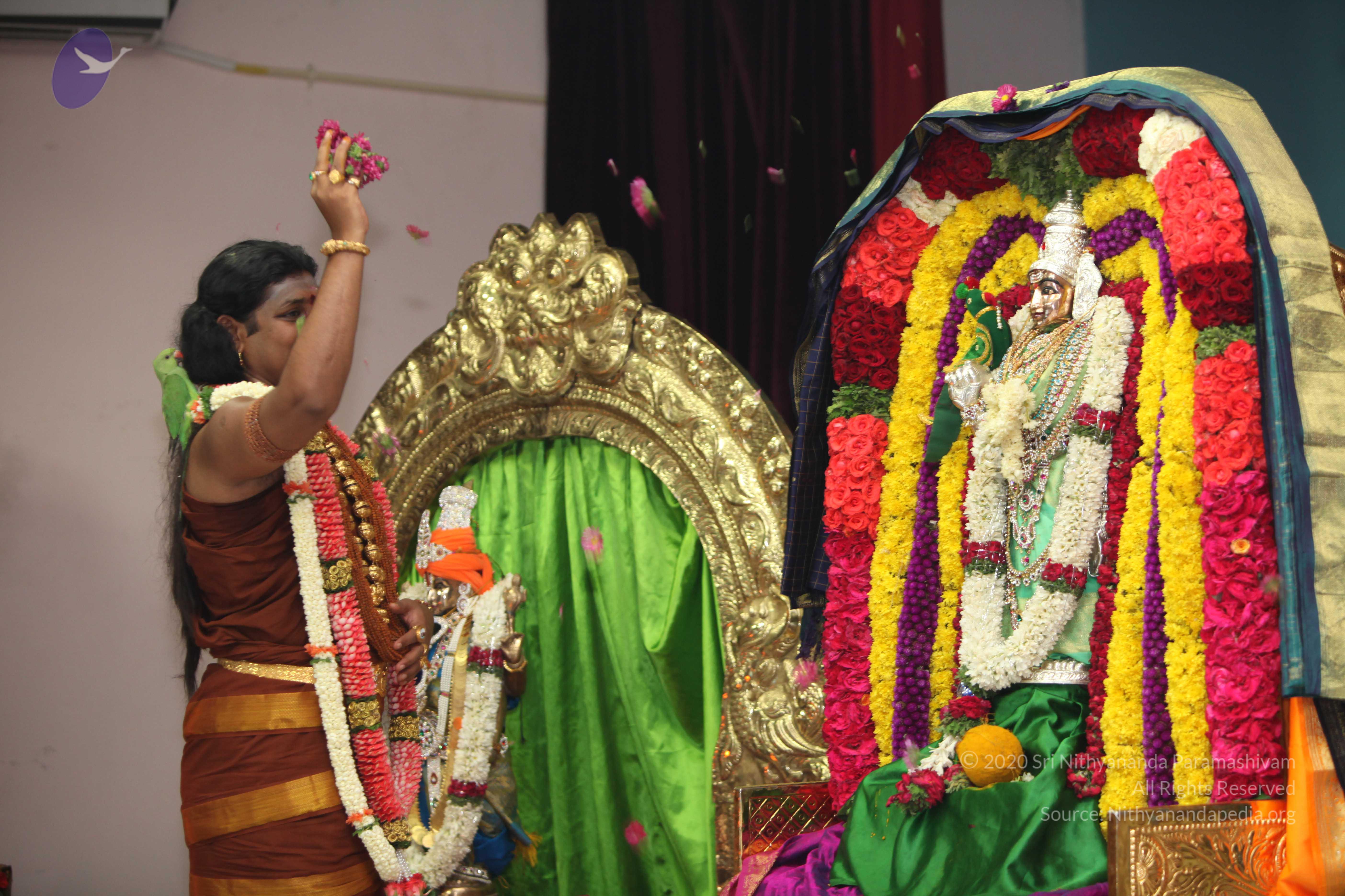 20130423_Photo_1020_IMG_9103_CMP_WM