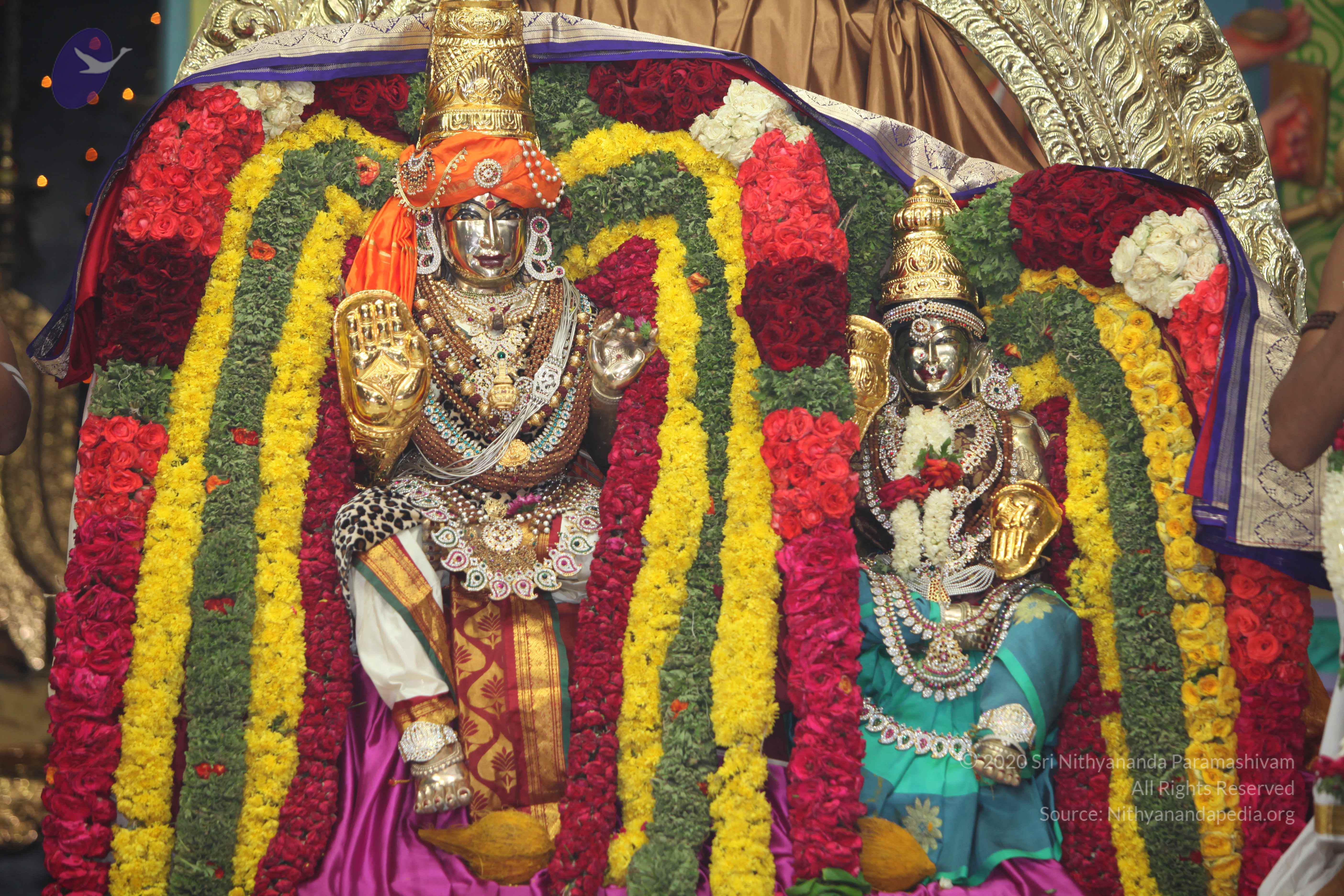 20130423_Photo_1046_IMG_9117_CMP_WM