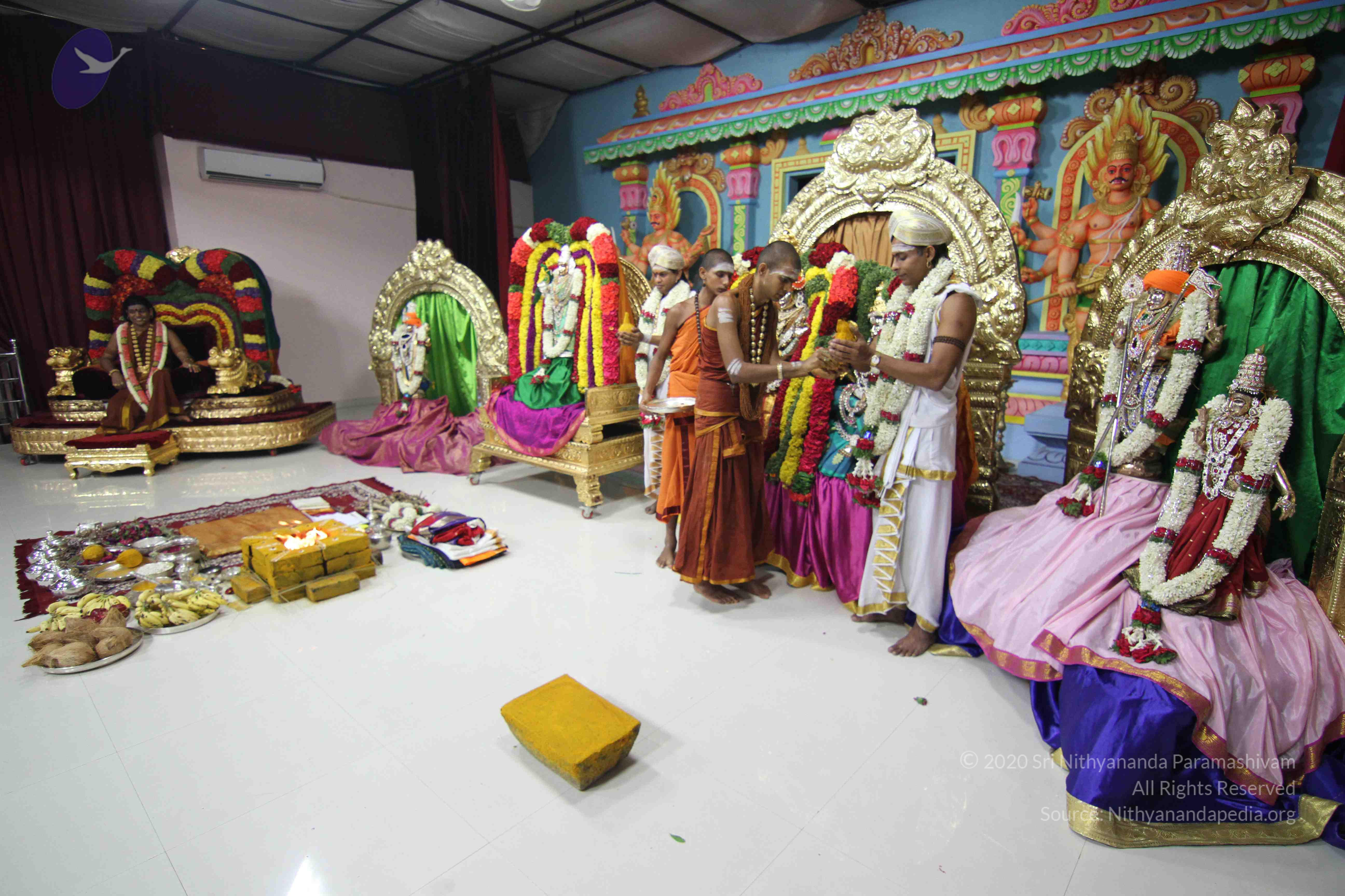 20130423_Photo_1055_IMG_8866_CMP_WM