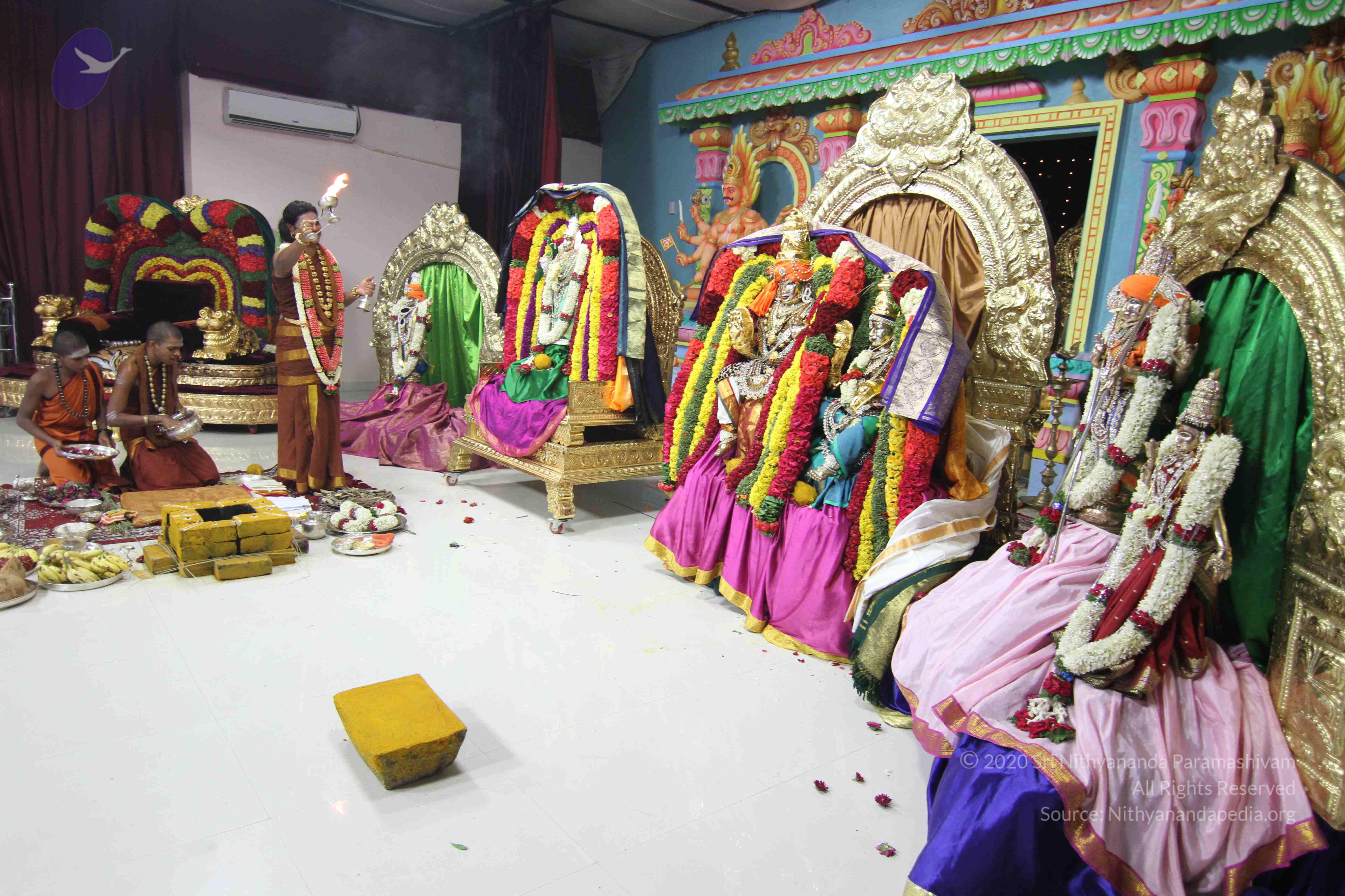 20130423_Photo_1066_IMG_8888_CMP_WM