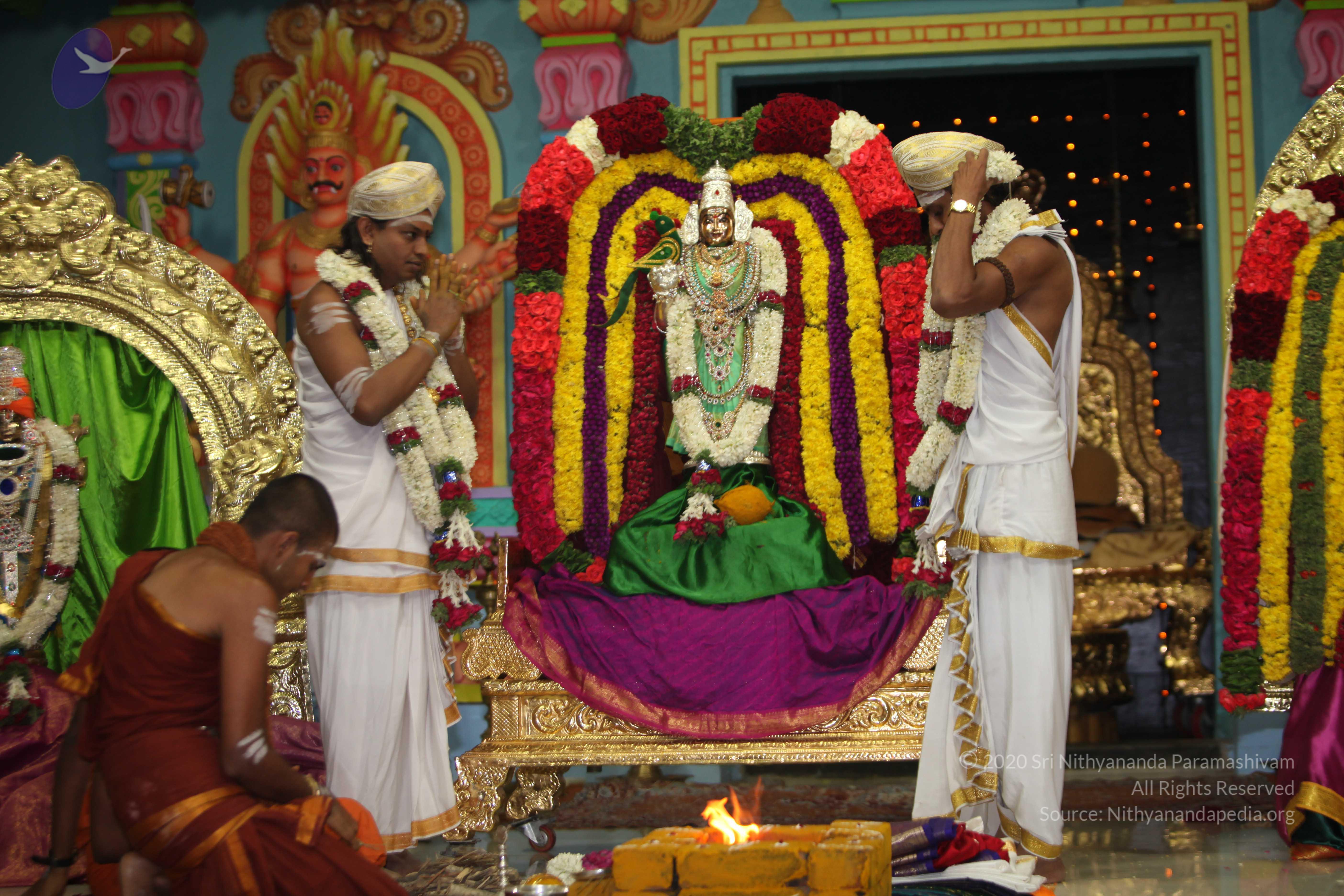 20130423_Photo_1082_IMG_8980_CMP_WM