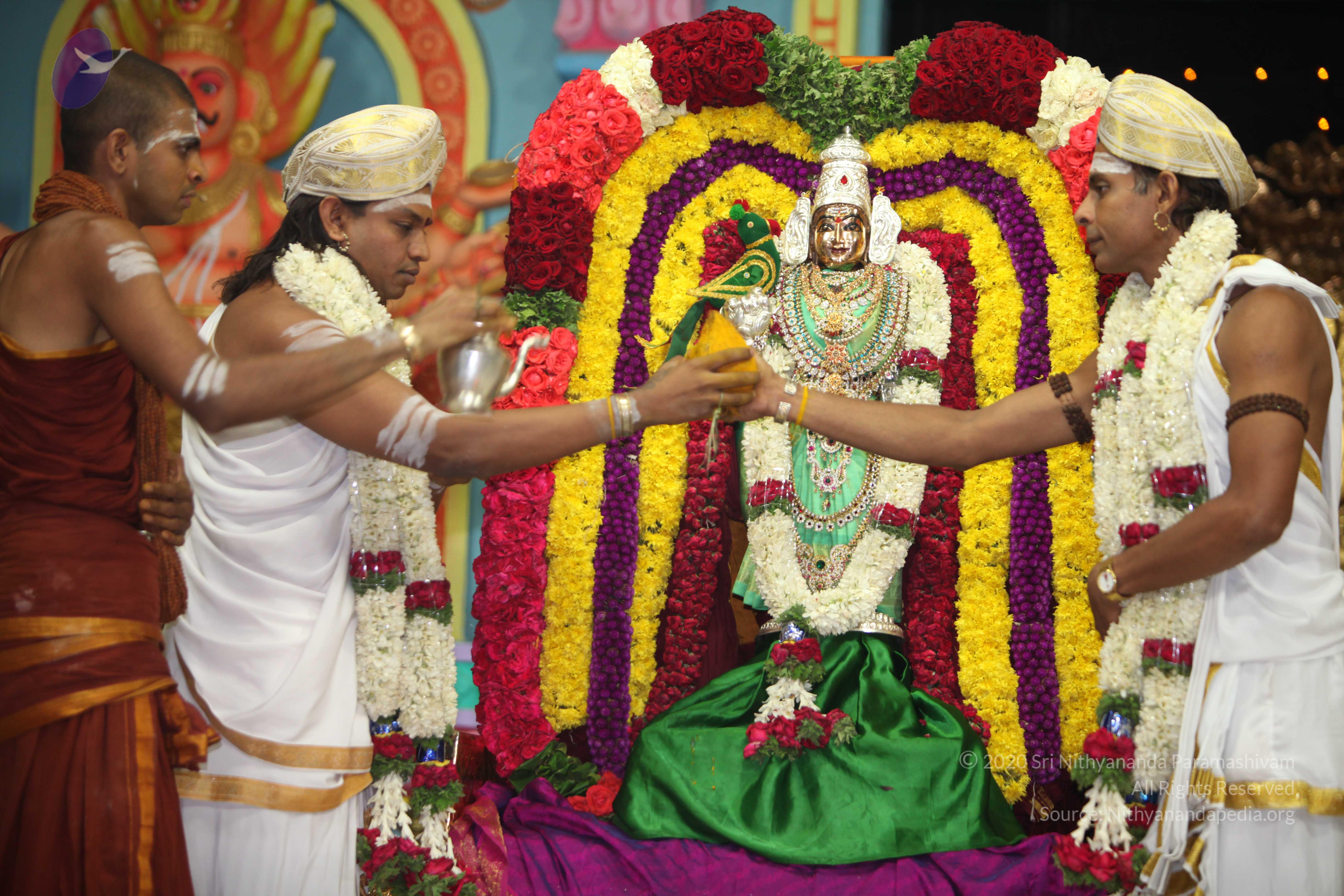 20130423_Photo_1102_IMG_8964_CMP_WM