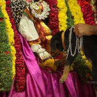 20130423_Photo_1161_IMG_9271_CMP_WM