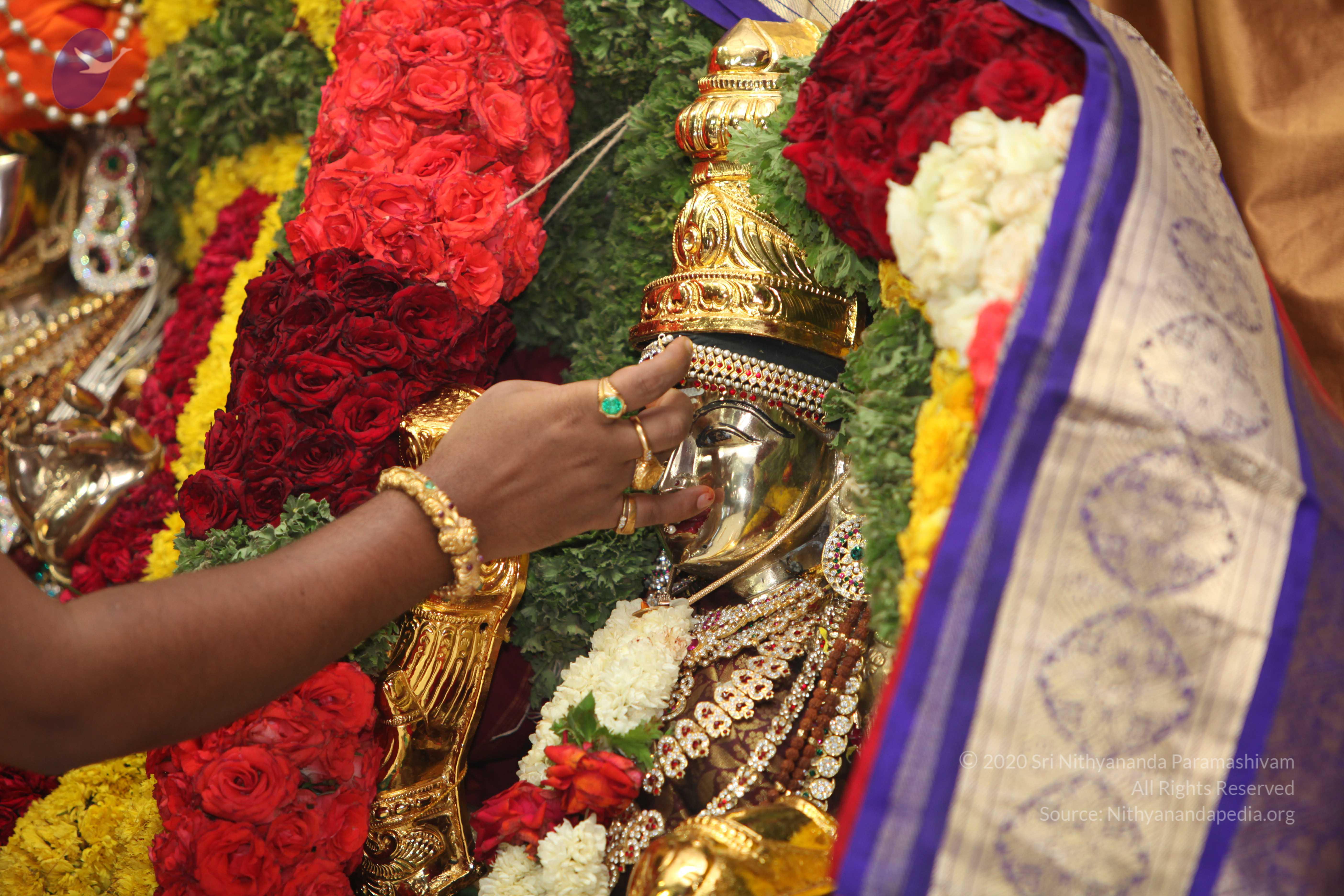 20130423_Photo_1254_IMG_9086_CMP_WM