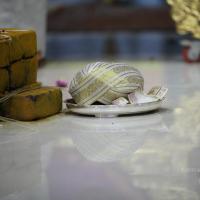 20130423_Photo_1257_IMG_9266_CMP_WM