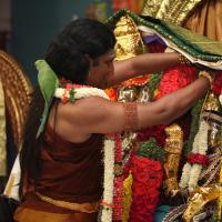 20130423_Photo_1289_IMG_9073_CMP_WM