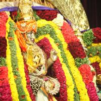 20130423_Photo_1305_IMG_9225_CMP_WM