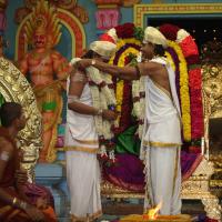 20130423_Photo_1342_IMG_8968_CMP_WM