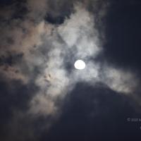 20130423_Photo_1020_IMG_8593_CMP_WM