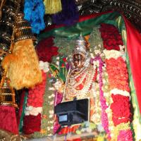 20130423_Photo_1044_IMG_8640_CMP_WM