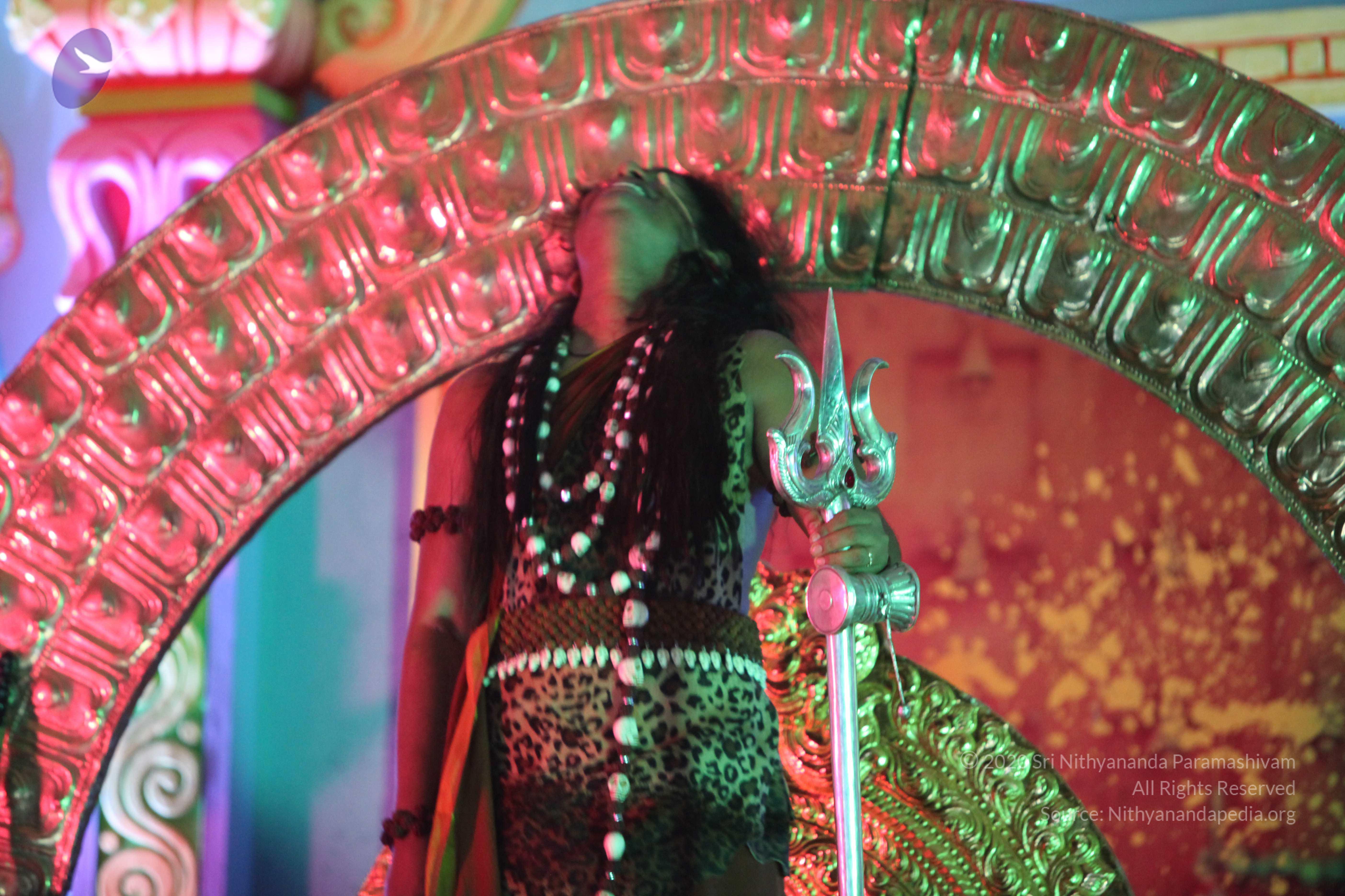 20130423_Photo_1000_IMG_9437_CMP_WM