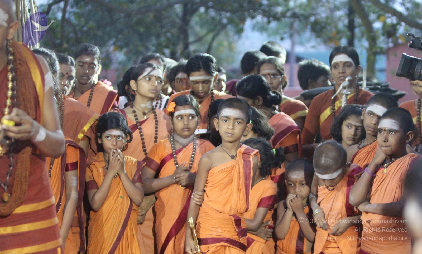 IMG_9833_CMP_WM done