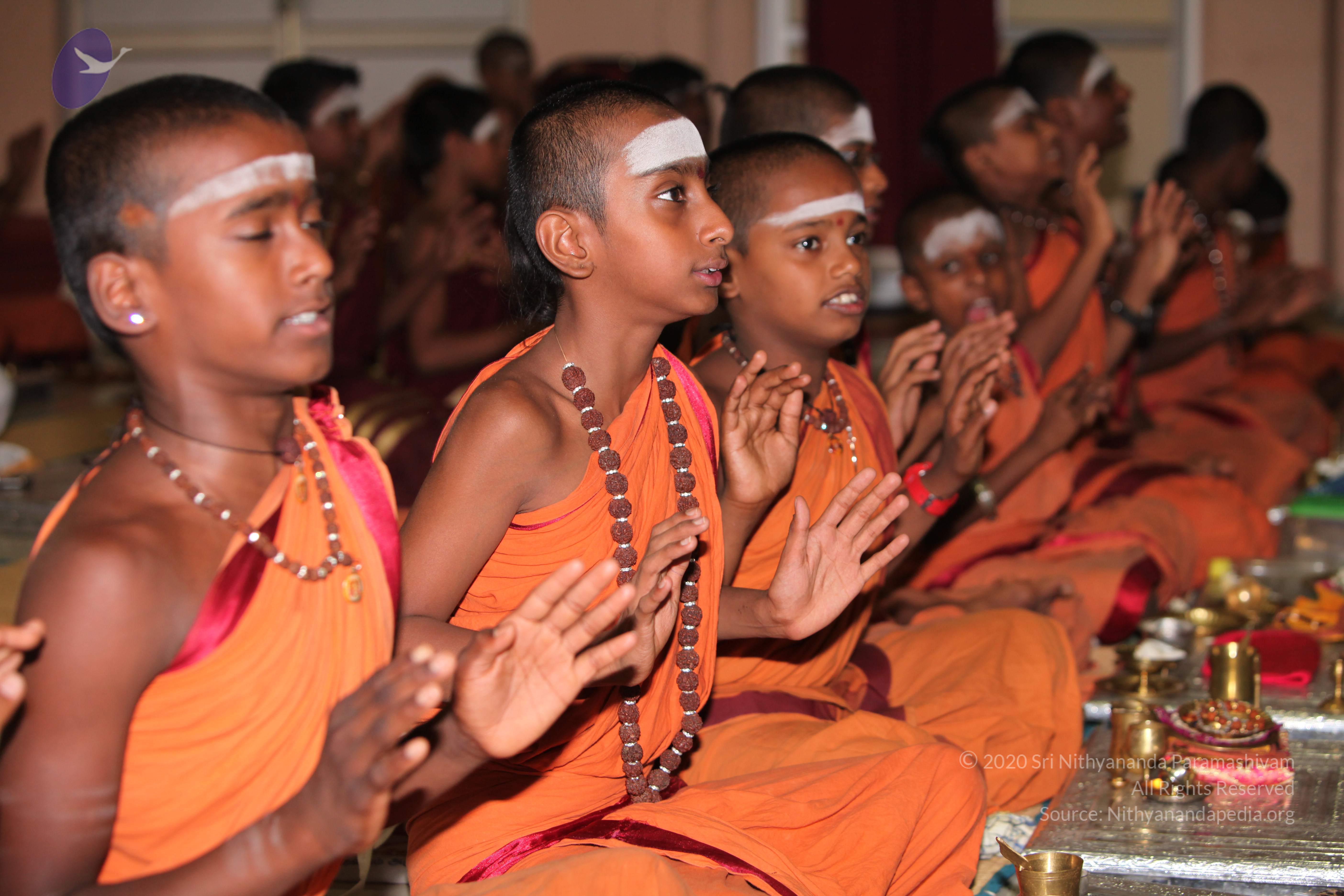 20130426_Photo_1003_IMG_9466_CMP_WM