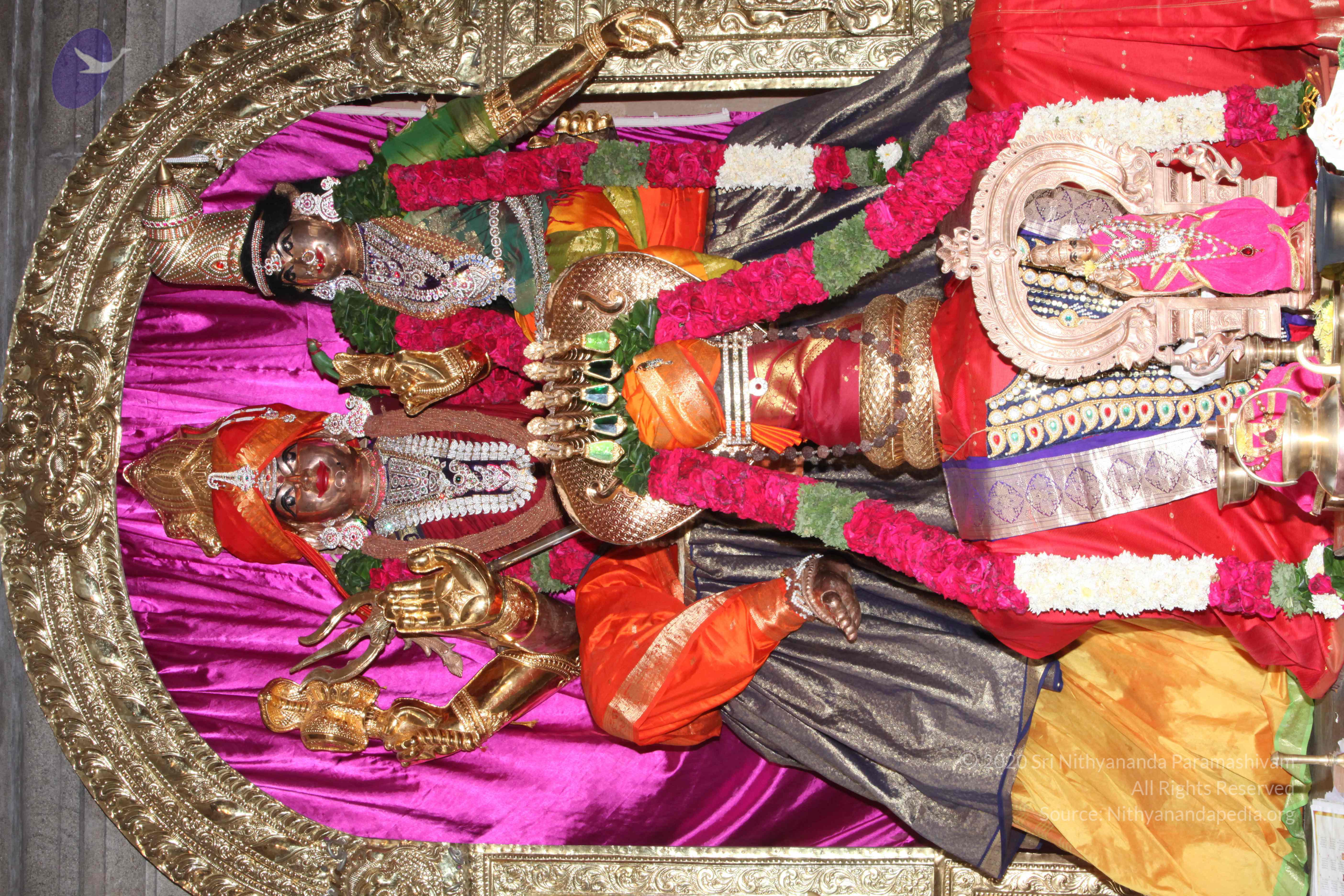 20130426_Photo_1000_IMG_9481_CMP_WM