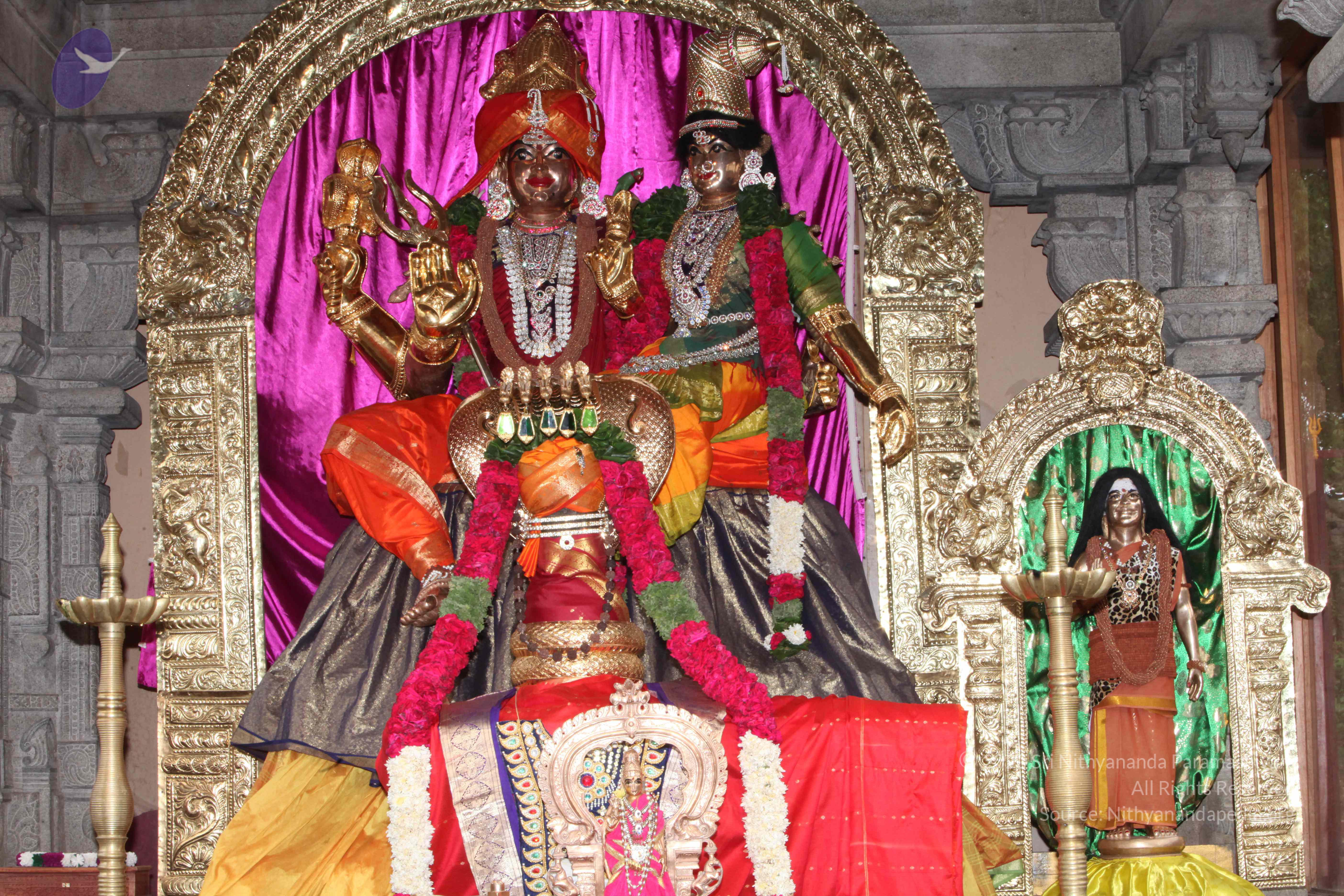 20130426_Photo_1009_IMG_9488_CMP_WM