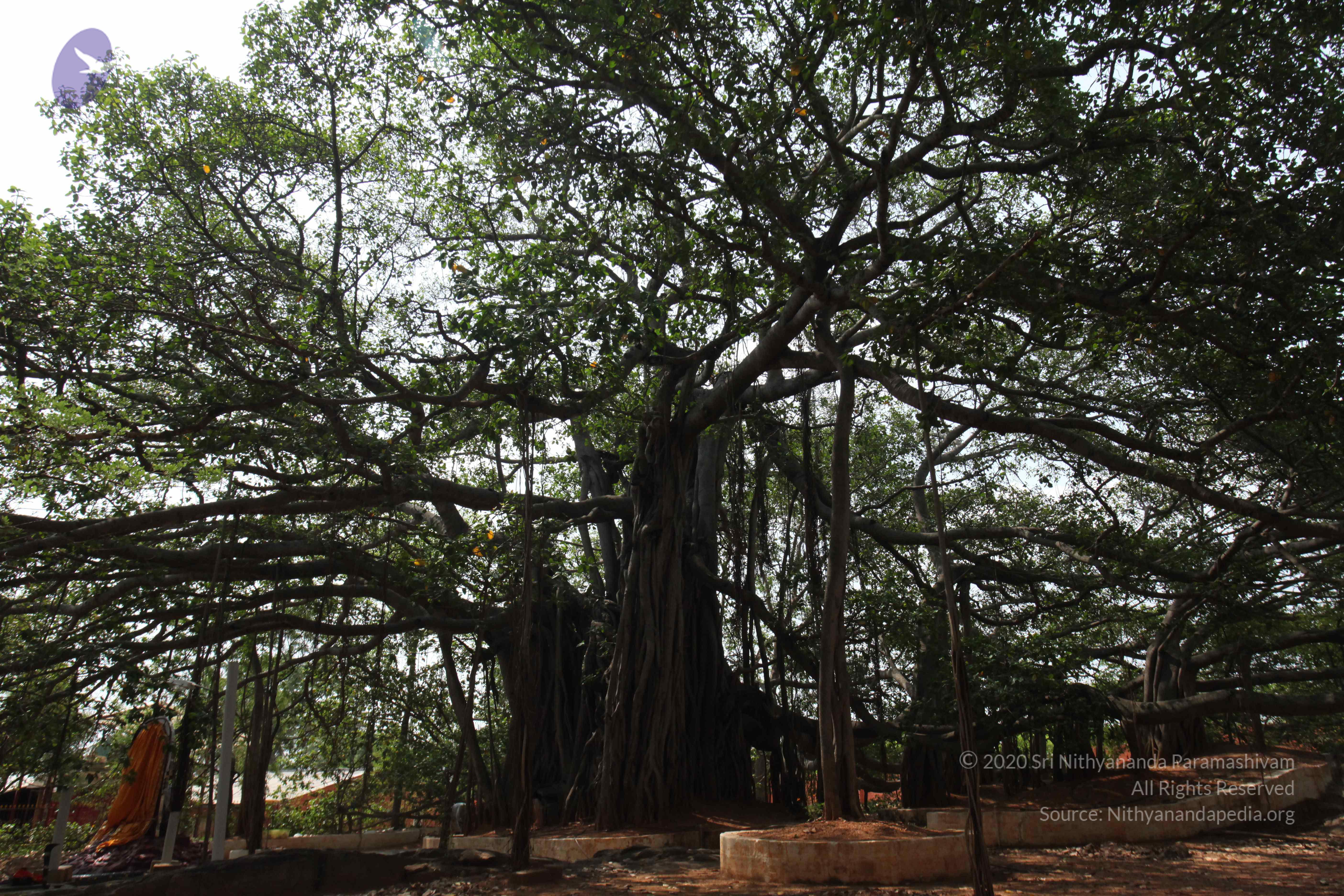 20130426_Photo_1001_IMG_9567_CMP_WM