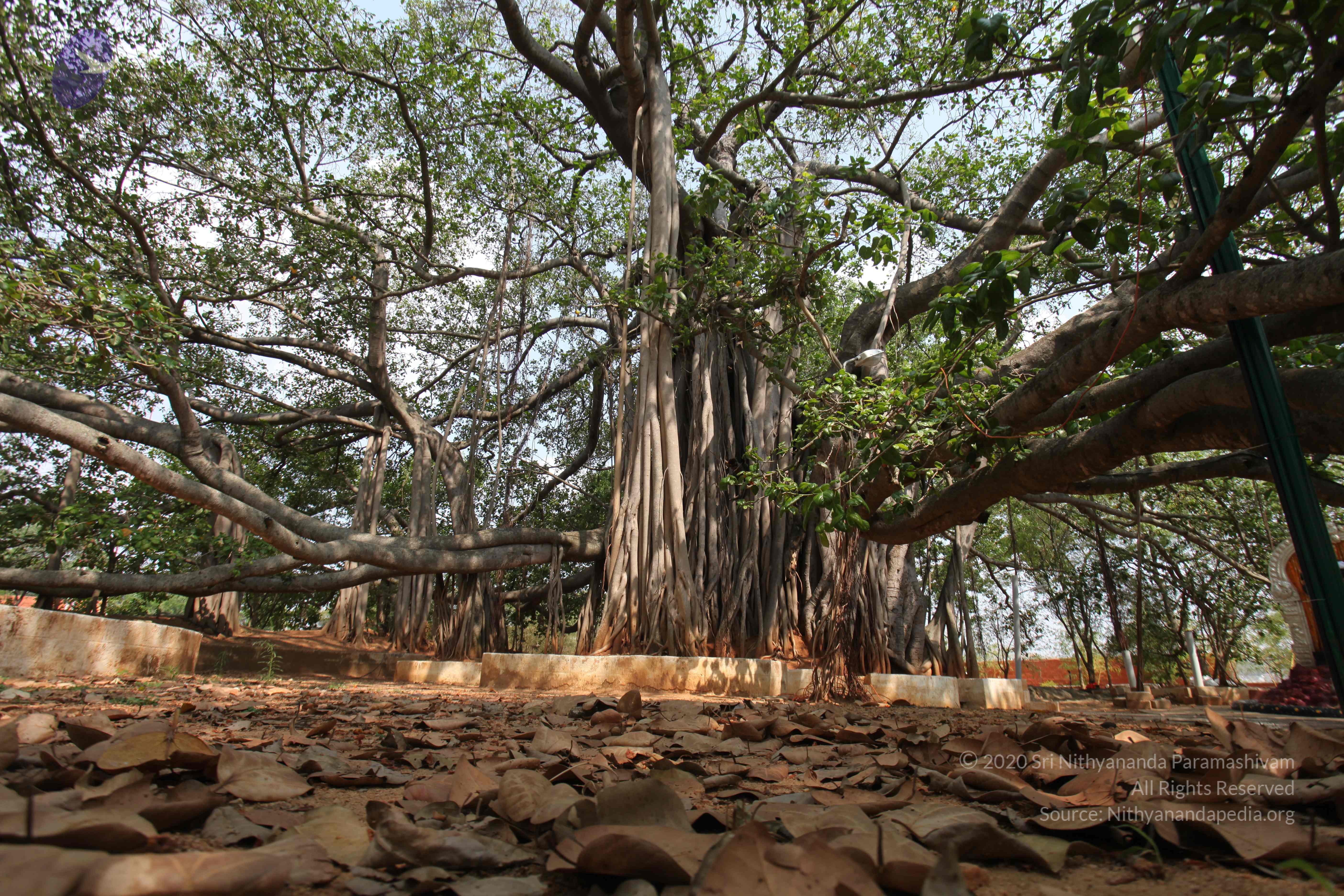 20130426_Photo_1002_IMG_9550_CMP_WM