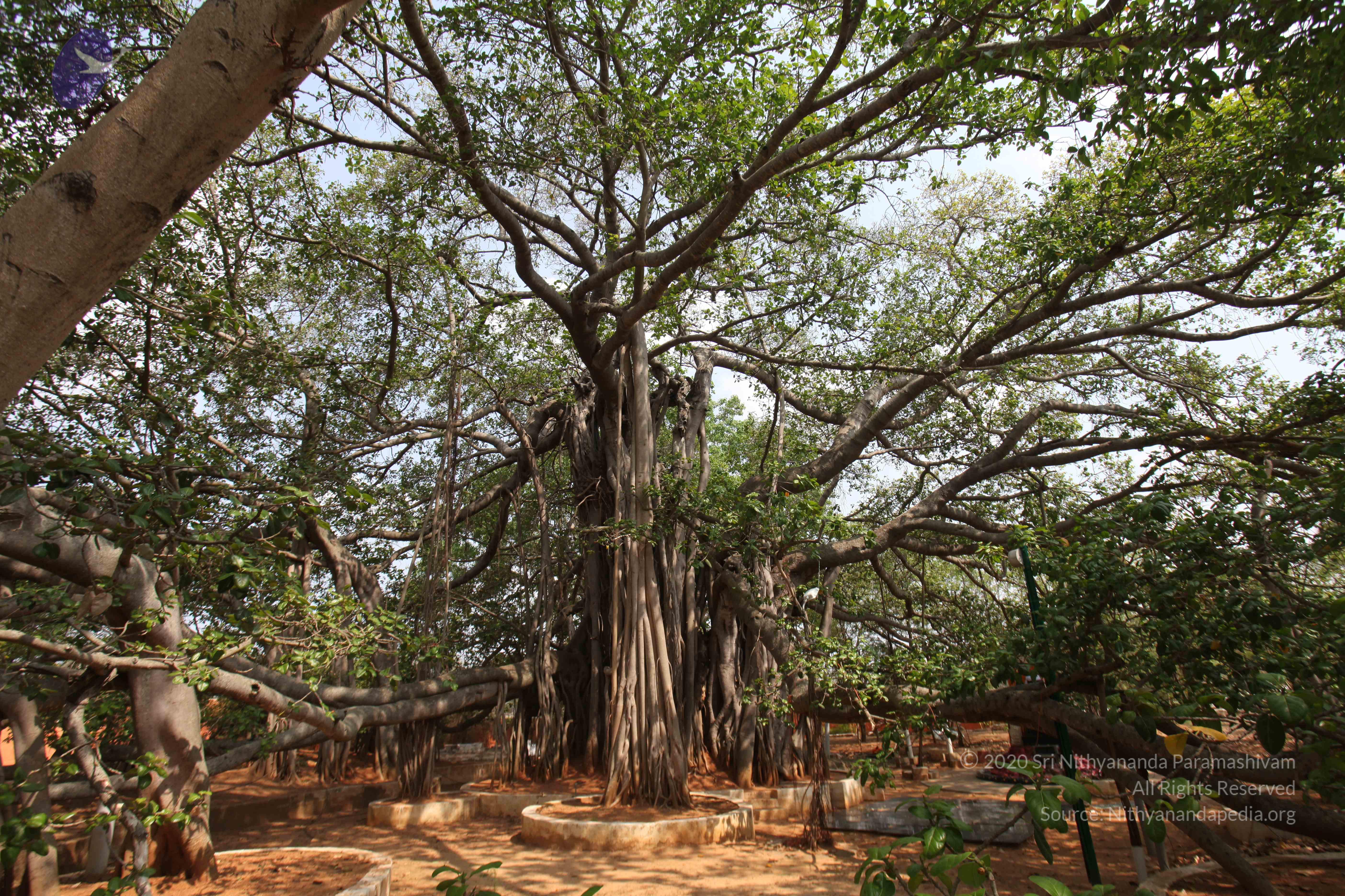 20130426_Photo_1003_IMG_9549_CMP_WM