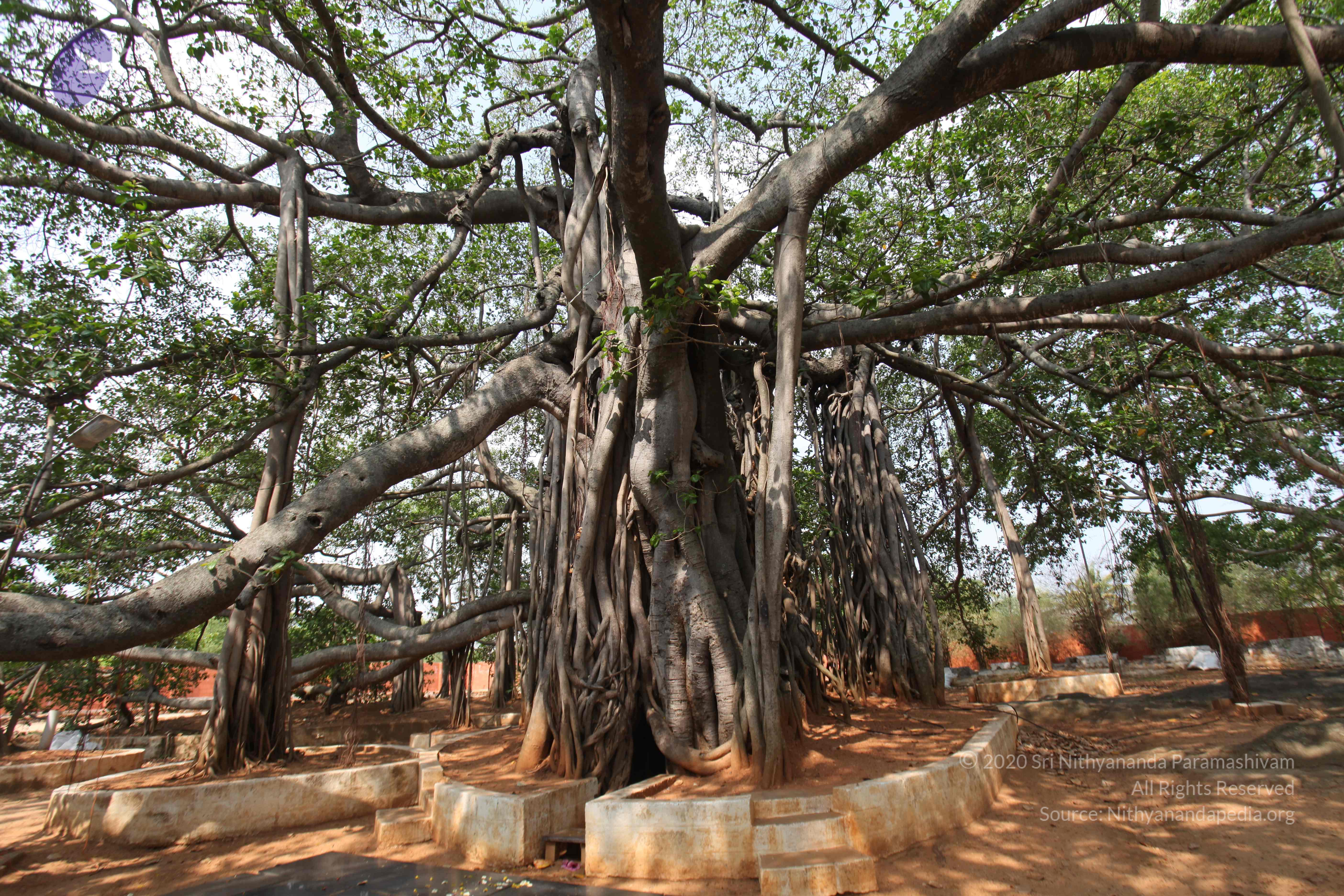 20130426_Photo_1012_IMG_9533_CMP_WM