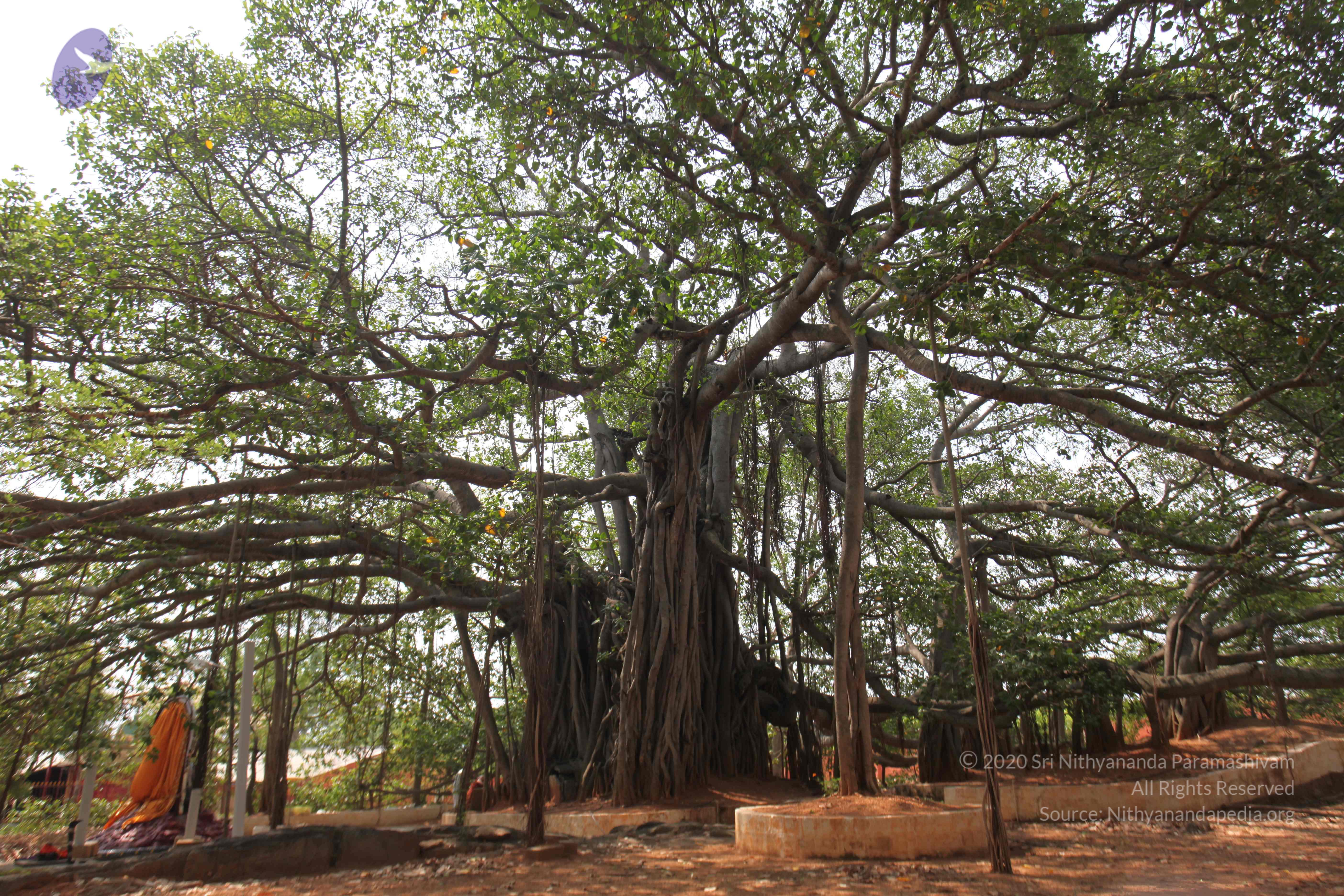 20130426_Photo_1013_IMG_9566_CMP_WM