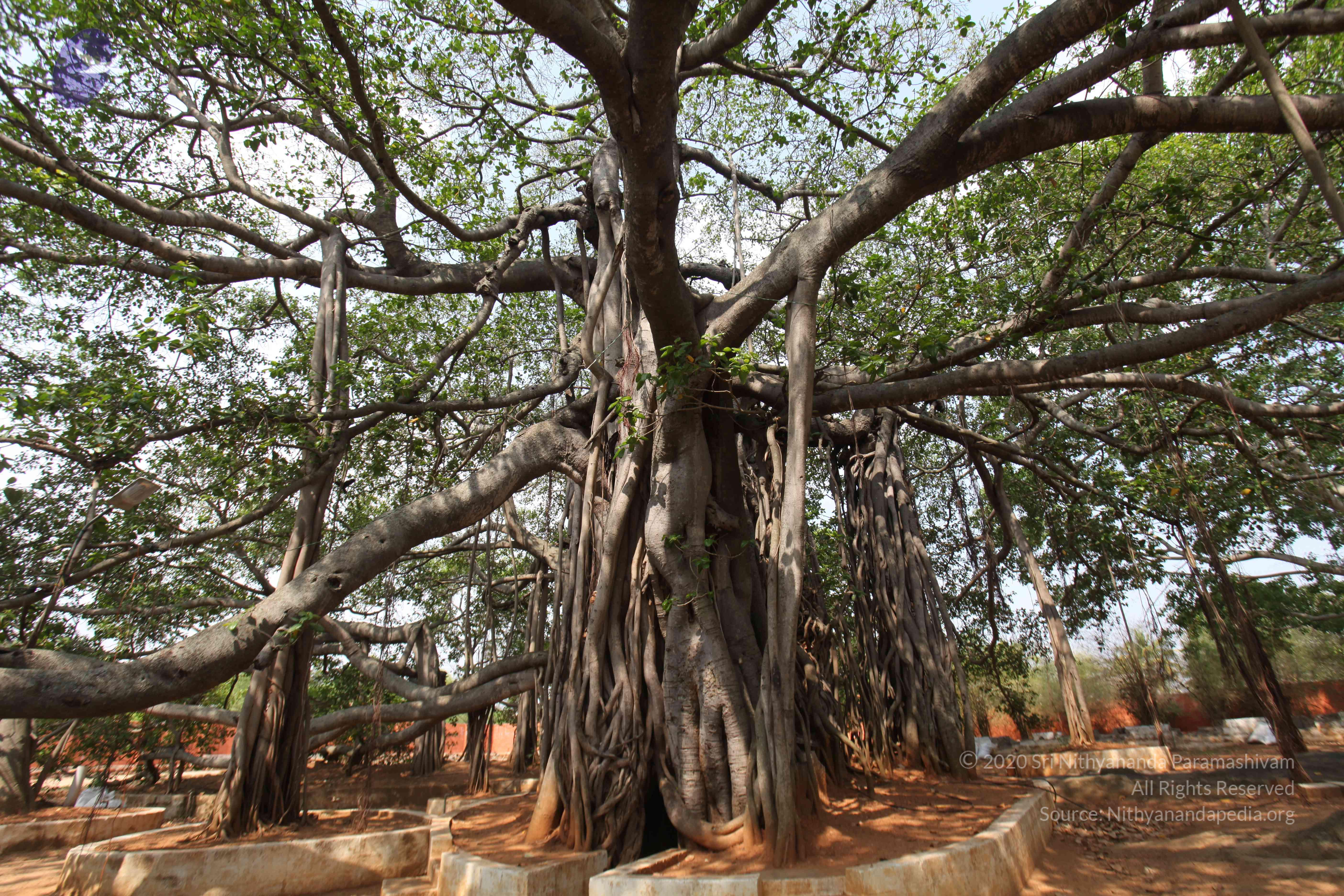 20130426_Photo_1014_IMG_9534_CMP_WM