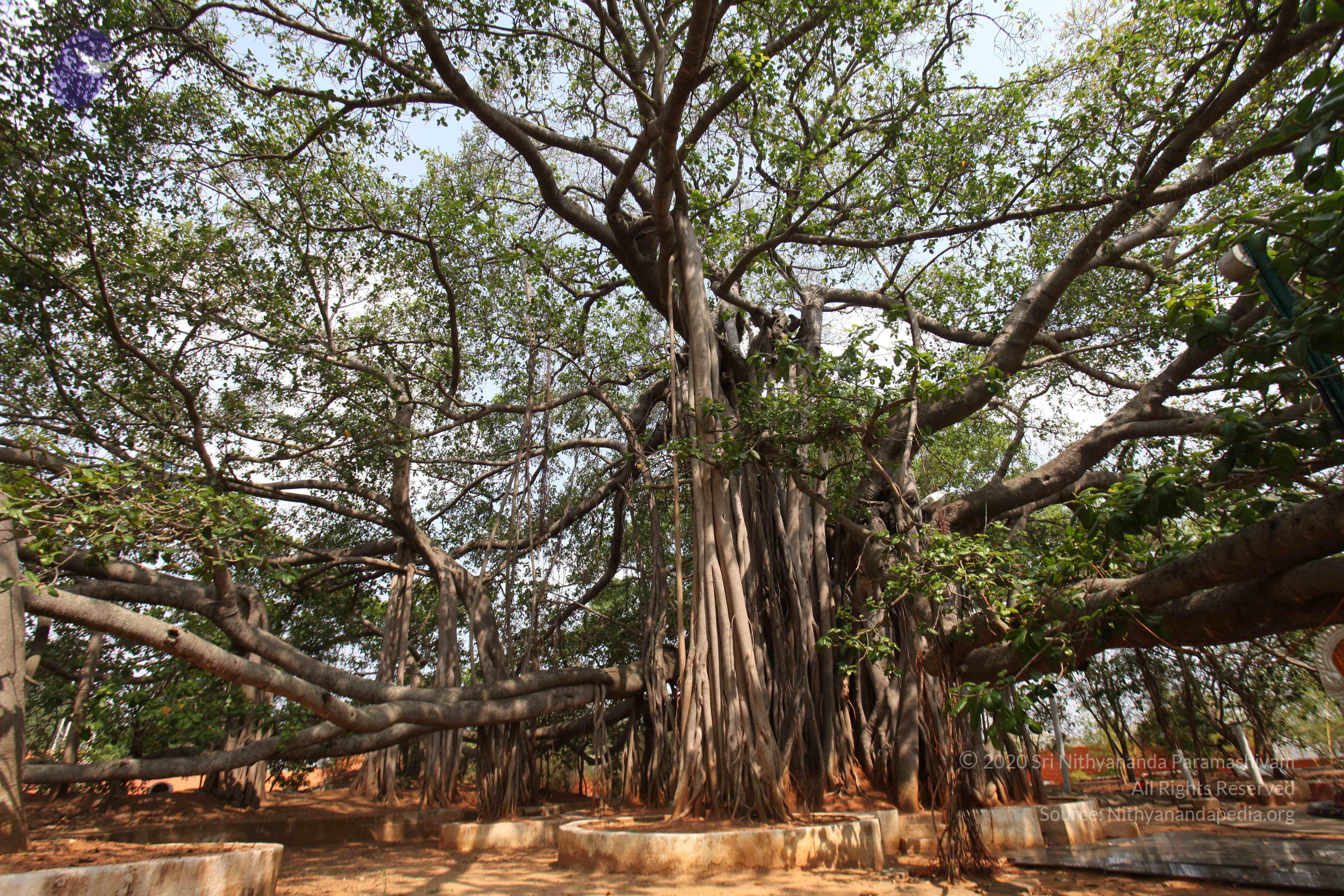 20130426_Photo_1016_IMG_9547_CMP_WM