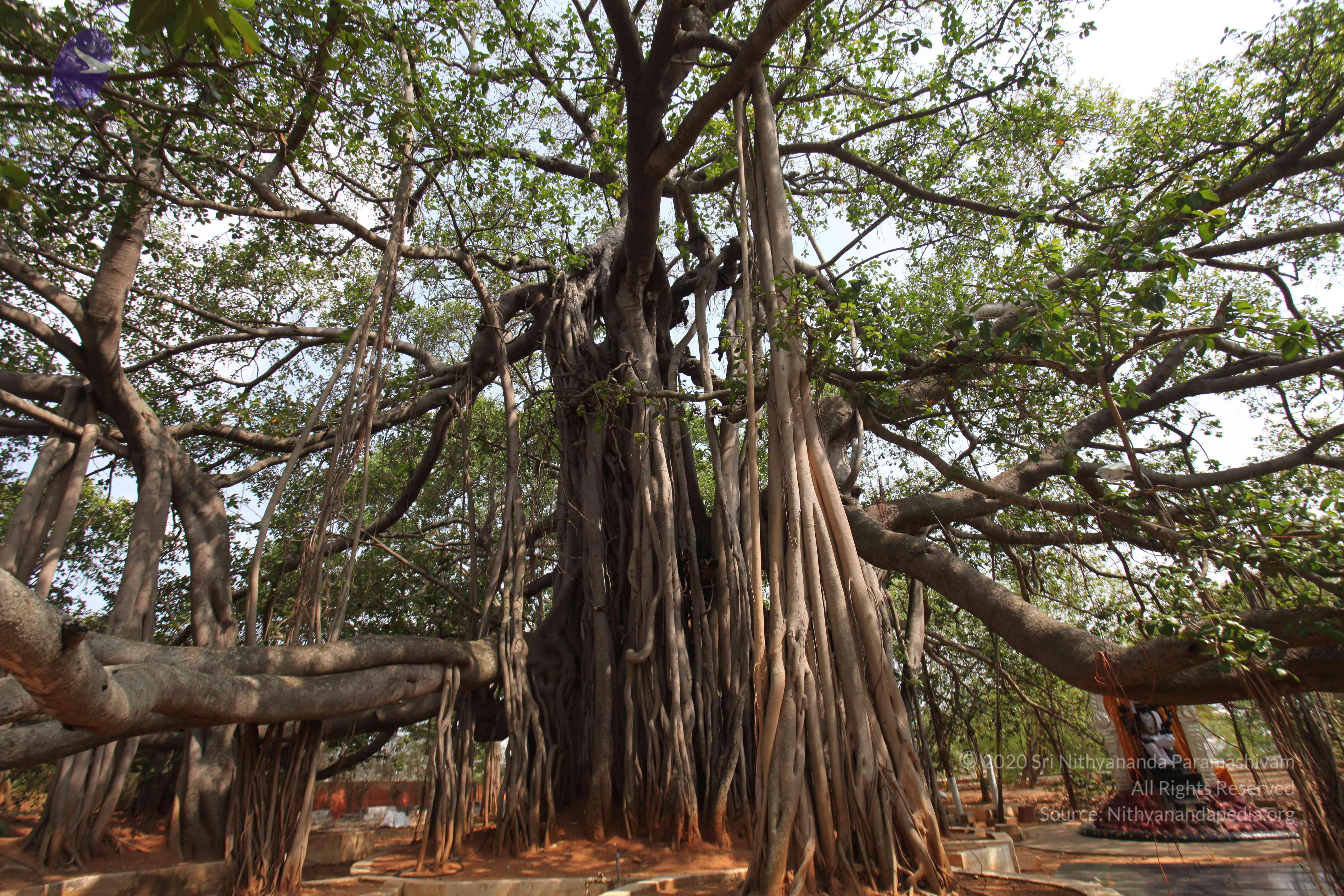 20130426_Photo_1017_IMG_9531_CMP_WM