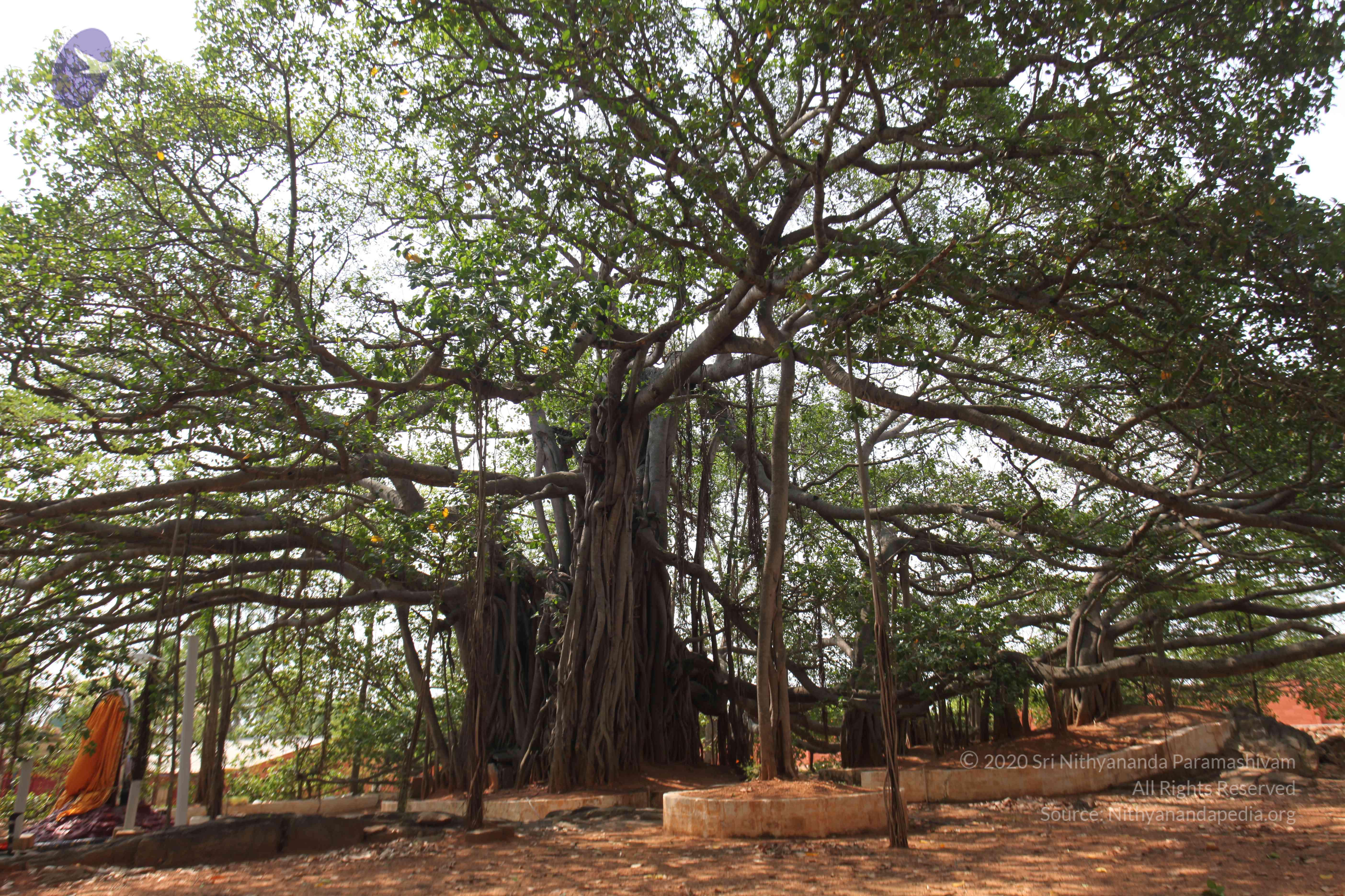 20130426_Photo_1019_IMG_9564_CMP_WM