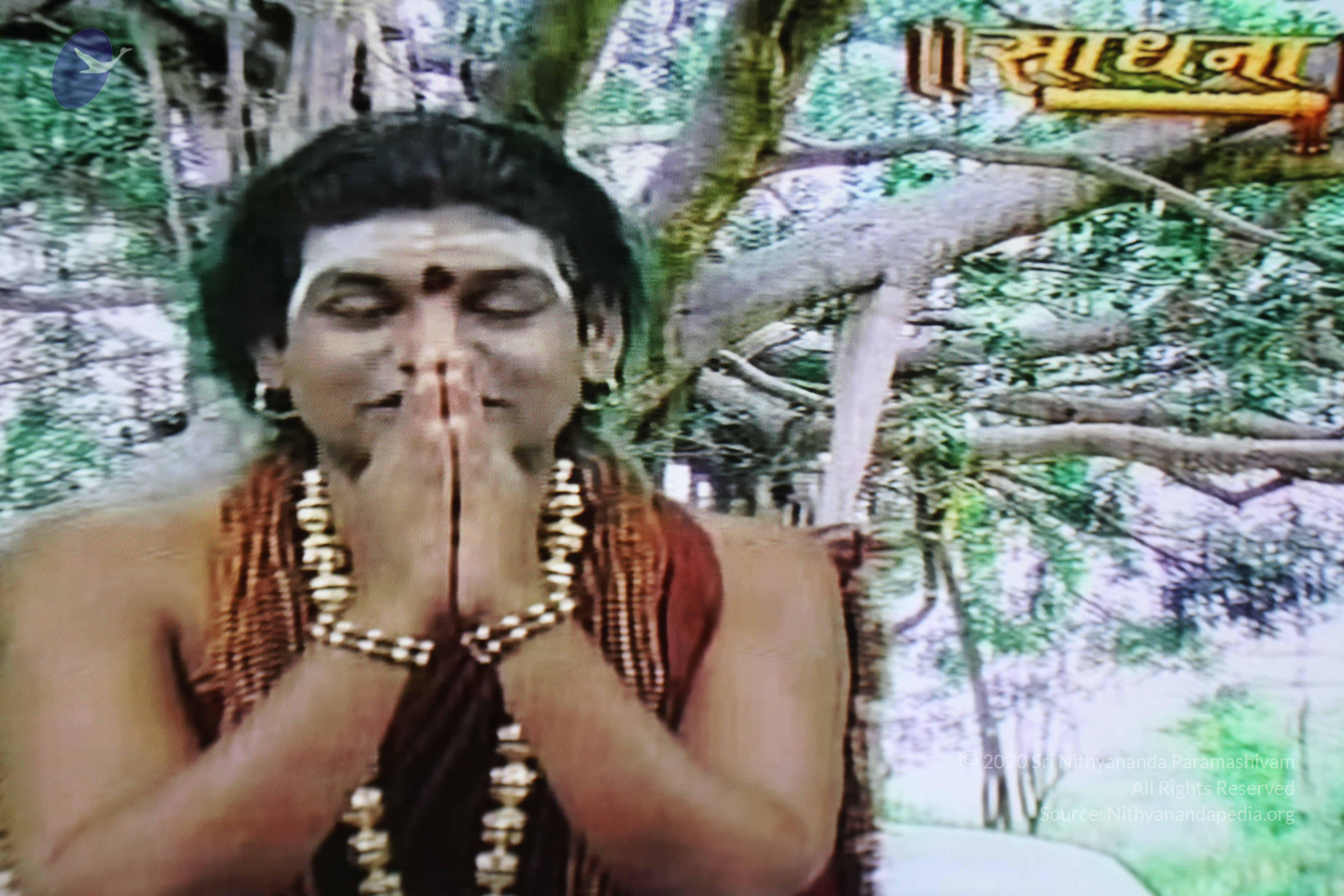 20130426_Photo_1000_IMG_9523_CMP_WM